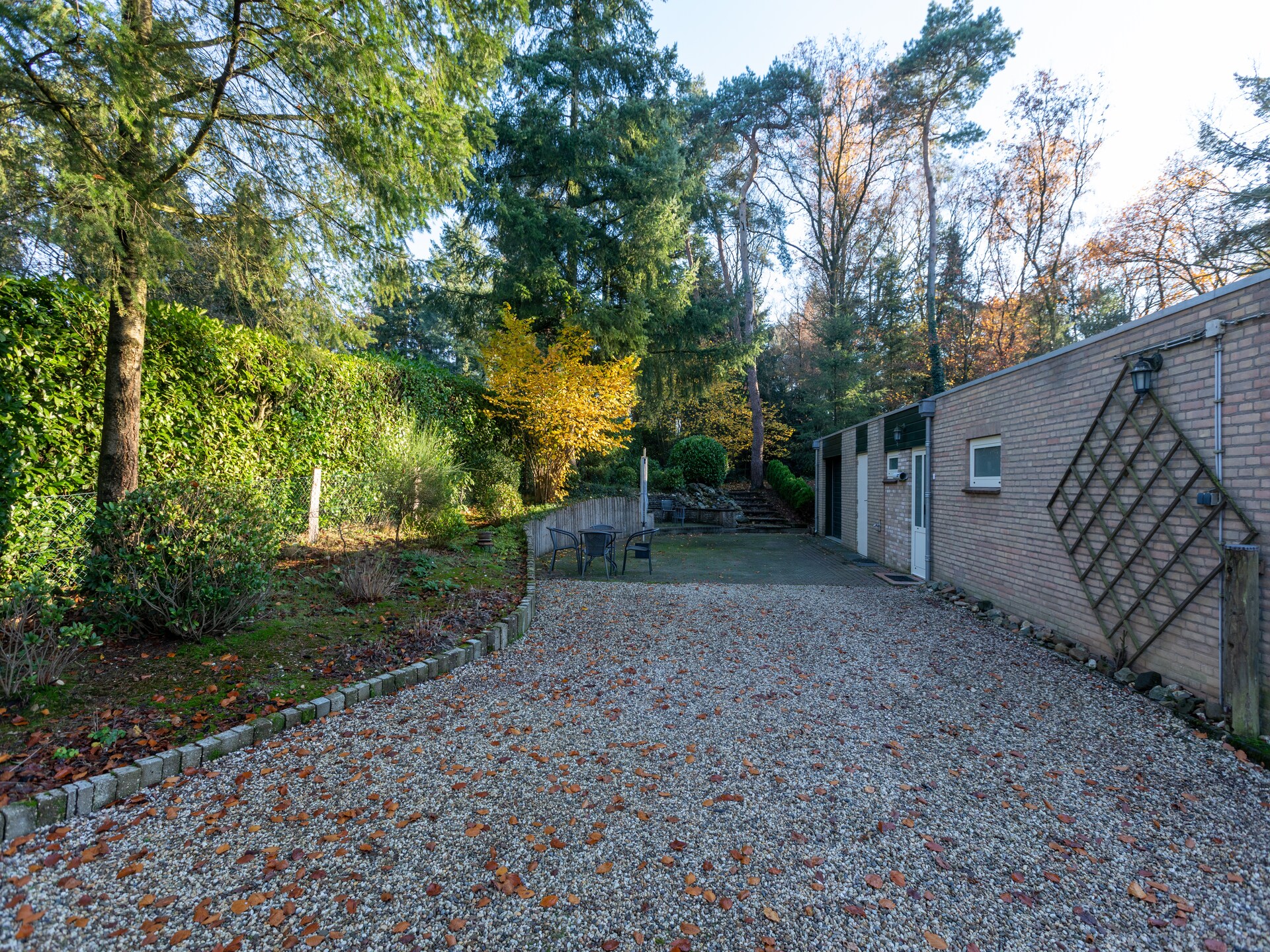 Romantische bosbungalow in Mook – huisdiervriendelijk en aan de golf - foto 19