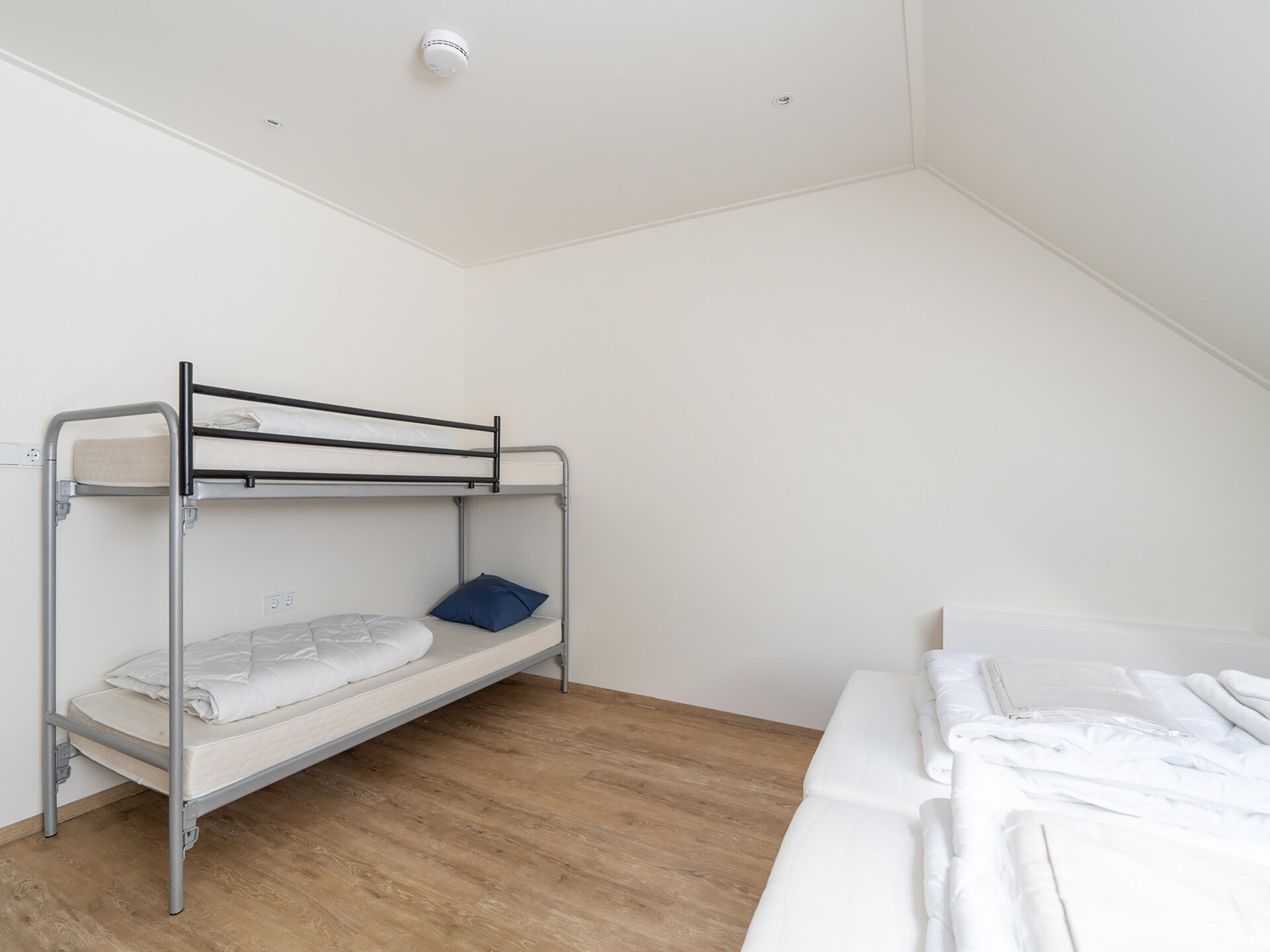Kaapsduin: Ruim groepsappartement in het bos bij Nes, Ameland - foto 23