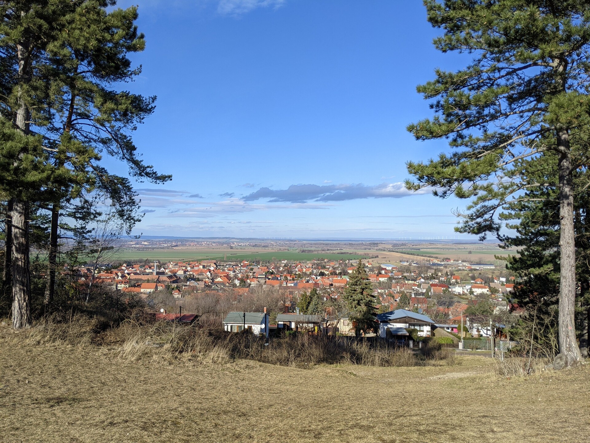 Ferienhaus Ballenstedt Cernik: Vrijstaand vakantiehuis in bosrijke omgeving - foto 39