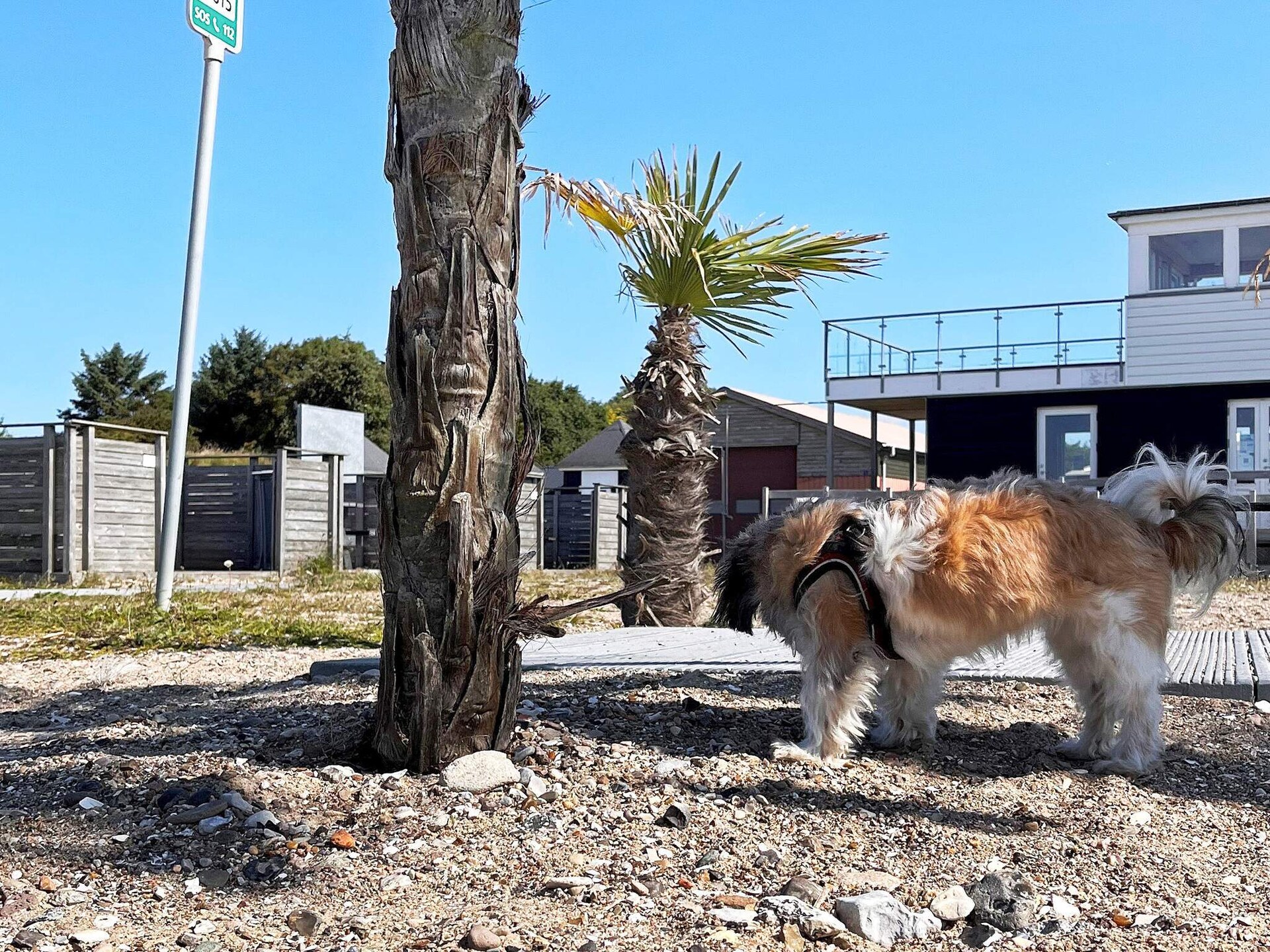 5-persoons vakantiehuis aan zee in Øster Assels - foto 8
