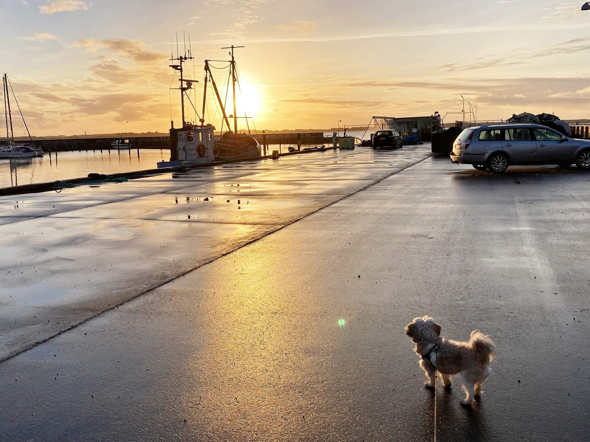 5-persoons vakantiehuis aan zee in Øster Assels - foto 13