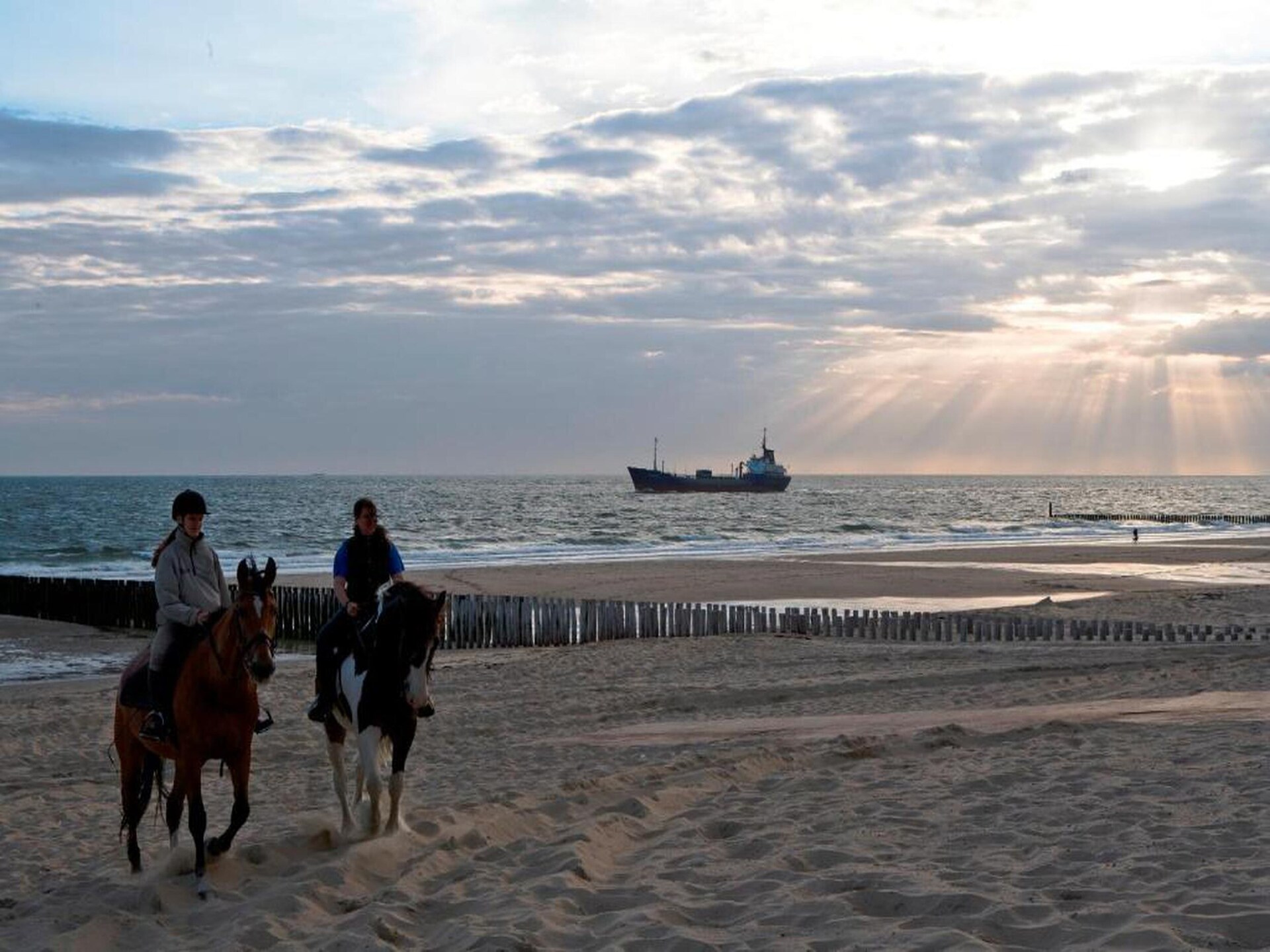 Slaapstrandhuisje Dishoek 68: Uniek overnachten op het Zeeuwse strand - foto 34