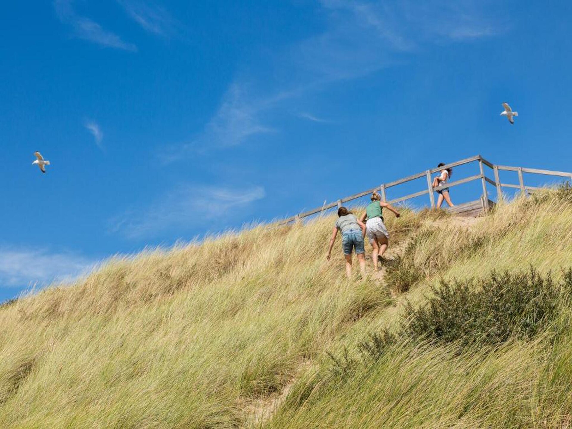 Slaapstrandhuisje Dishoek 68: Uniek overnachten op het Zeeuwse strand - foto 30