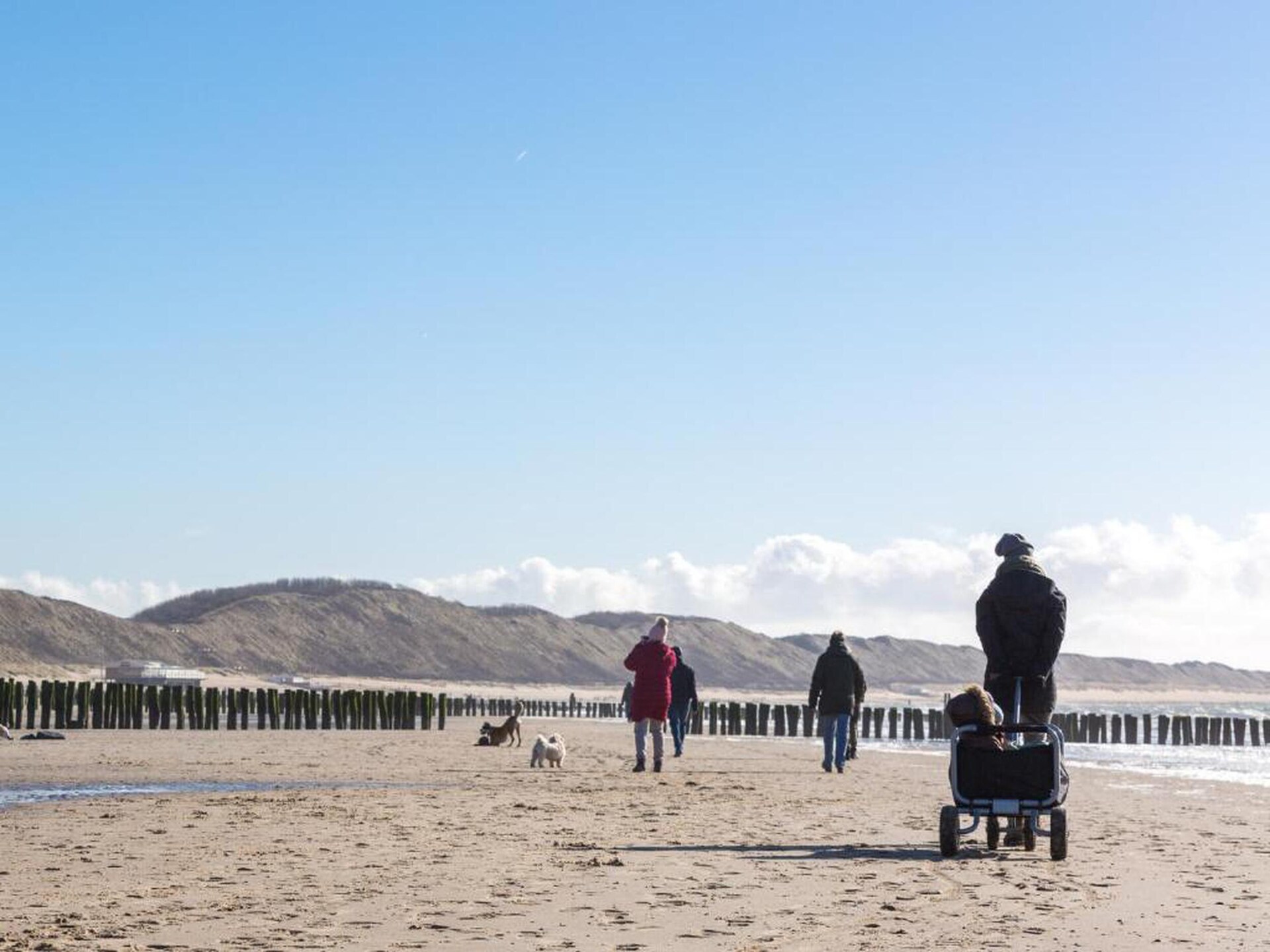 Slaapstrandhuisje Dishoek 68: Uniek overnachten op het Zeeuwse strand - foto 35