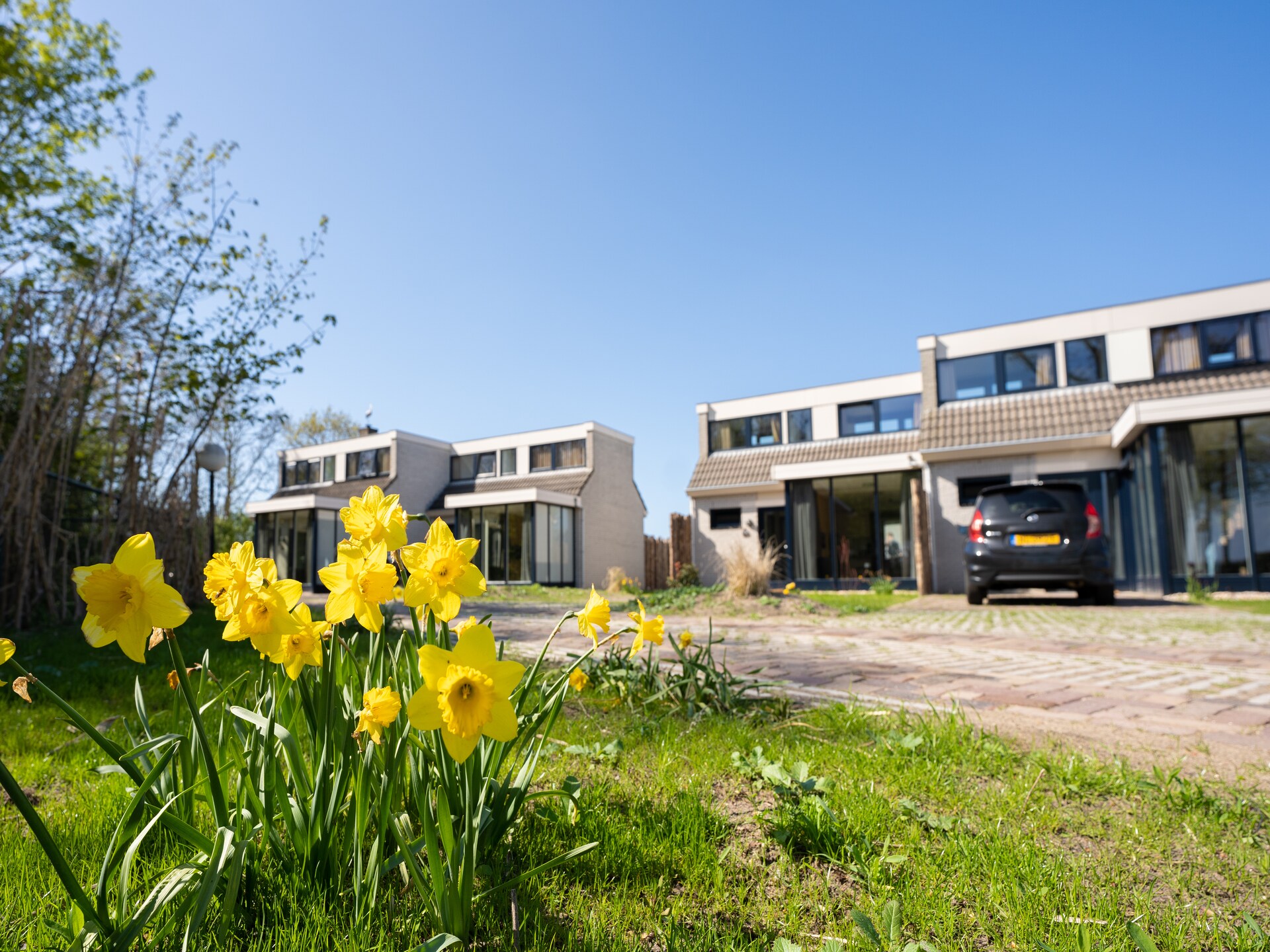 Vakantiehuis 't Eibernest Texel 6 – Genieten op het Waddeneiland - foto 35