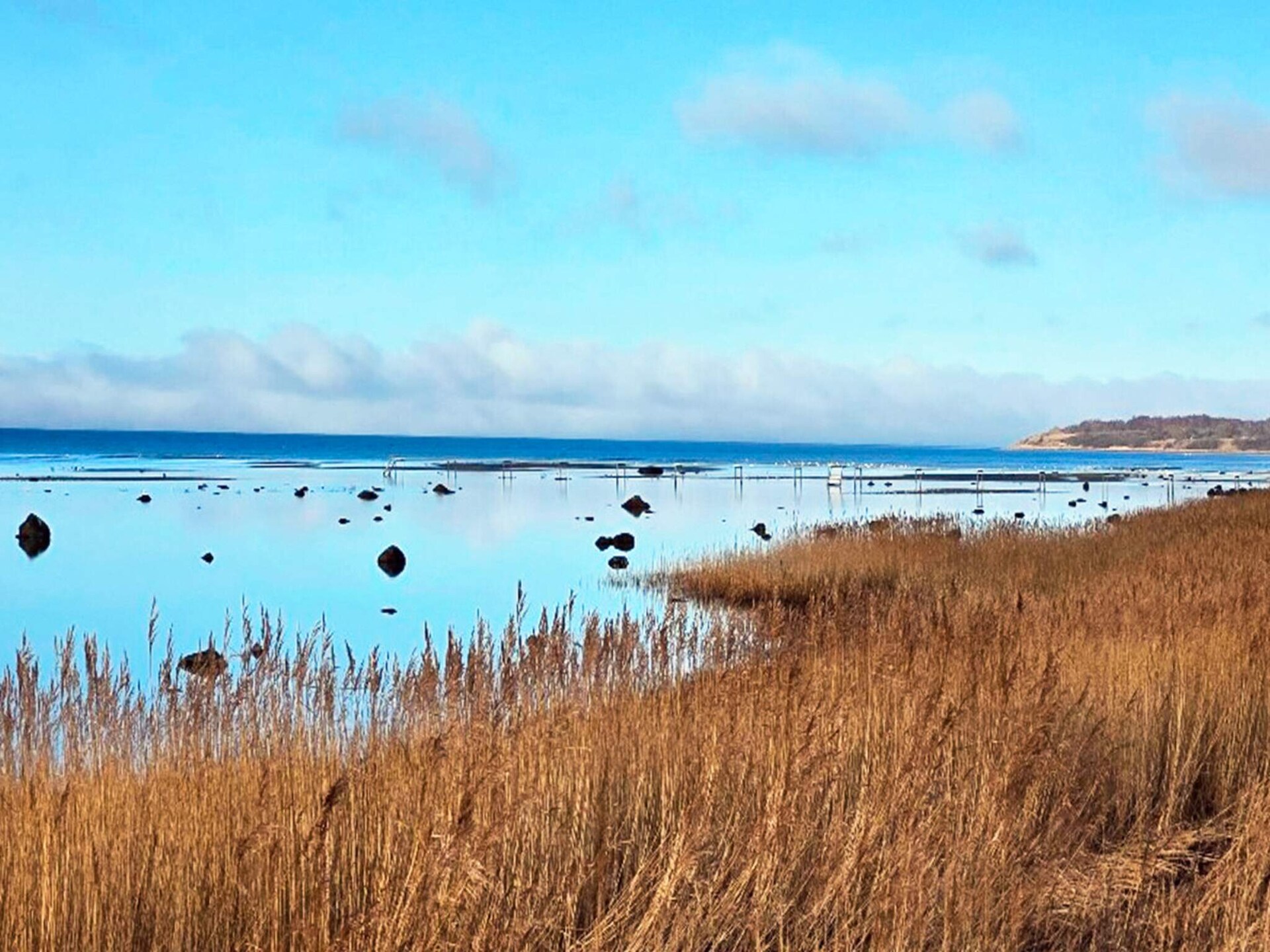 Vrijstaand vakantiehuis in Dalby Huse, Isefjord, 2 km van zee - foto 11
