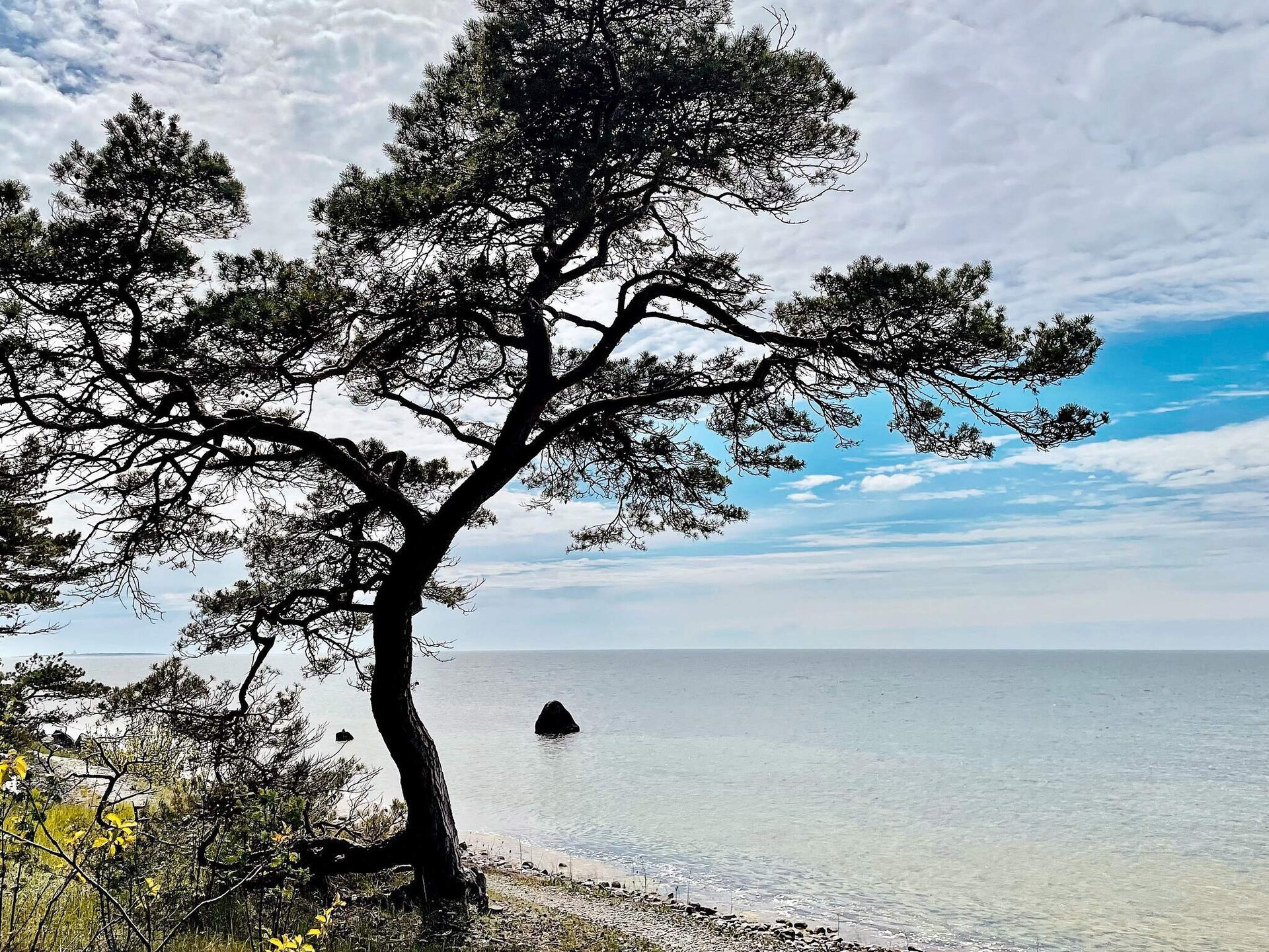 Stijlvol vakantiehuis nabij het strand van Tofta, Gotland - foto 21