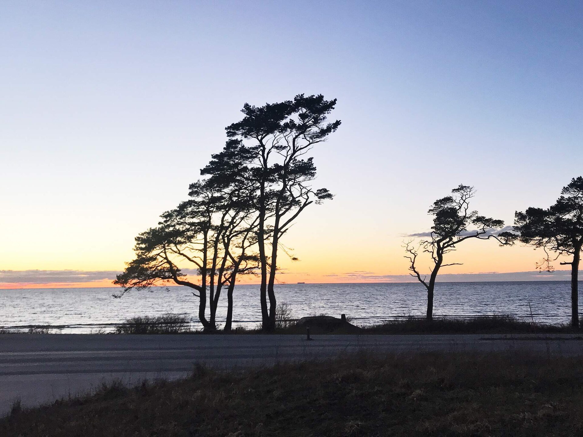 Stijlvol vakantiehuis nabij het strand van Tofta, Gotland - foto 25