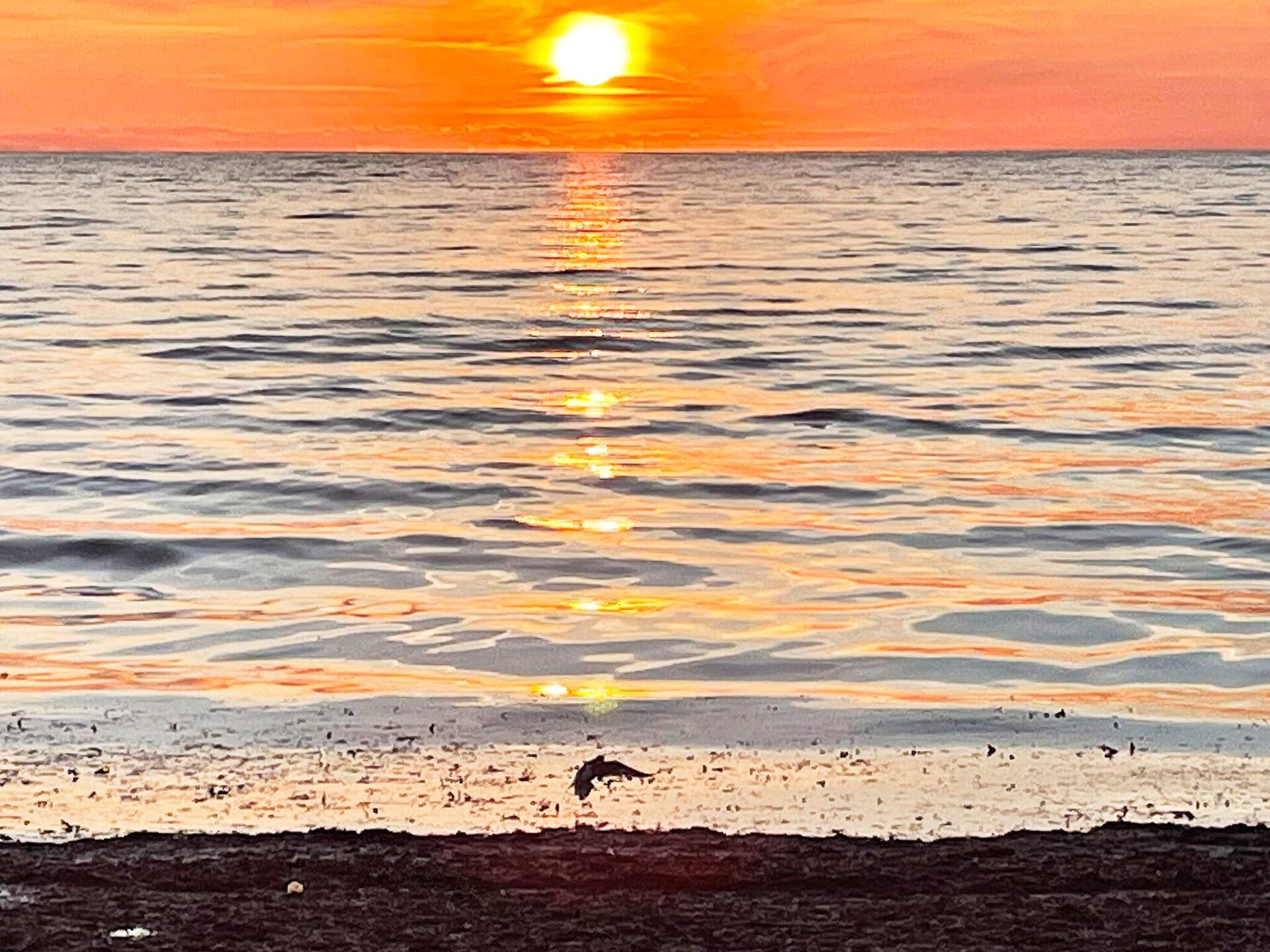 Stijlvol vakantiehuis nabij het strand van Tofta, Gotland - foto 26