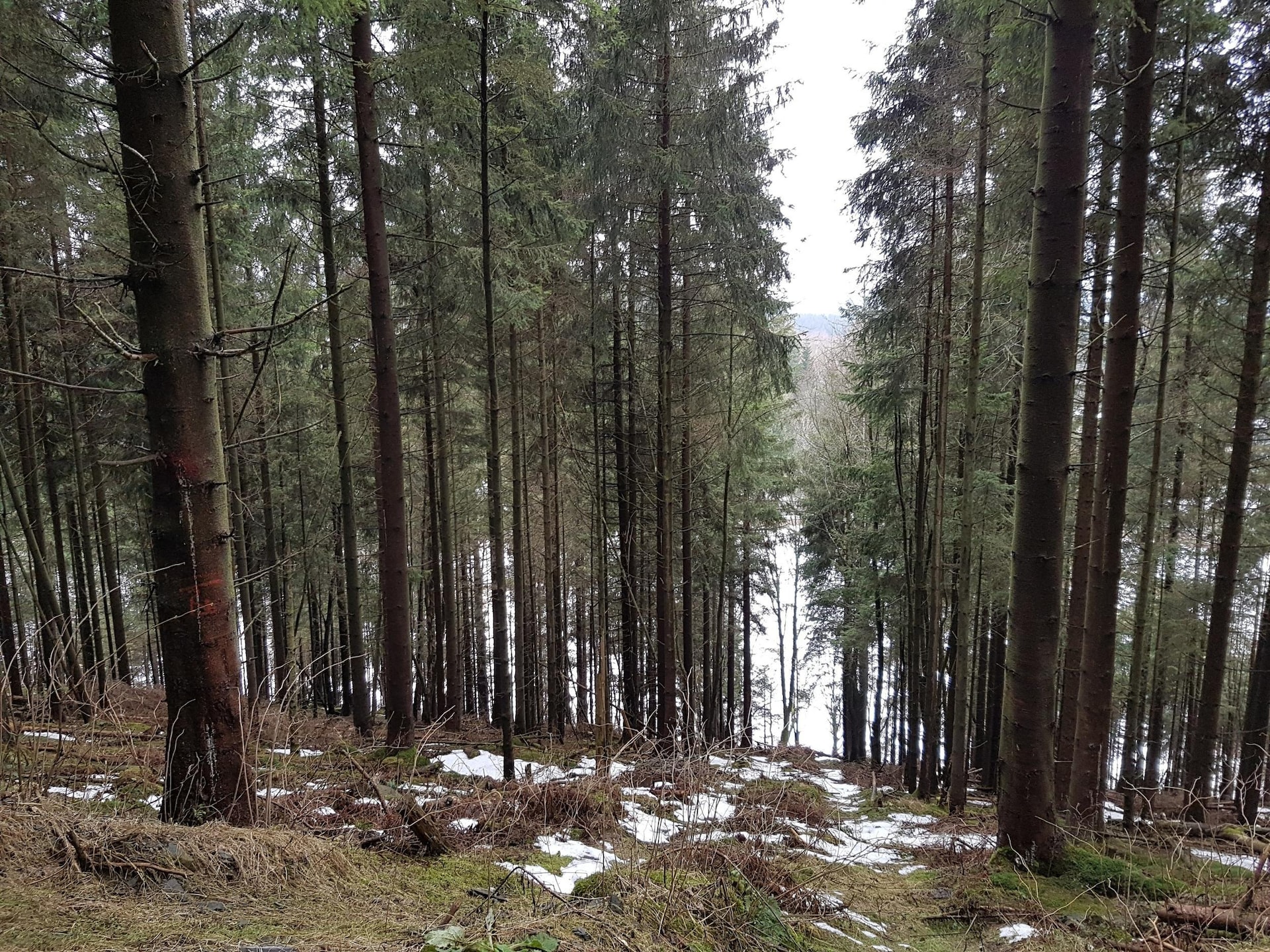 Centraal gelegen appartement in Winterberg op 500m van de piste · 4 pers. - foto 39