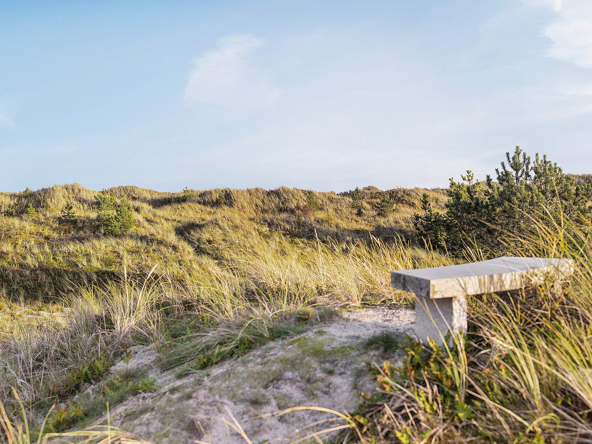 Modern vakantiehuis op 50 meter van het strand in Ålbæk - foto 29