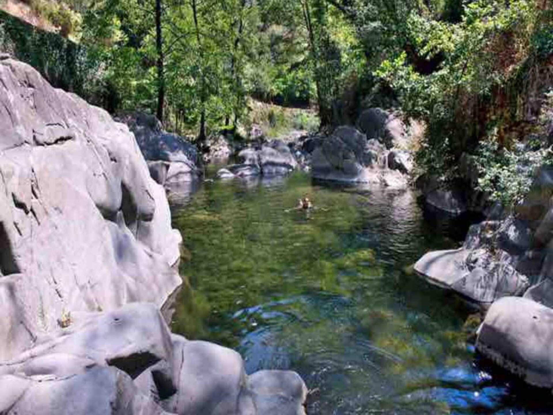 Authentieke watermolen aan de Pescia rivier voor 10 personen in Vellano - foto 34