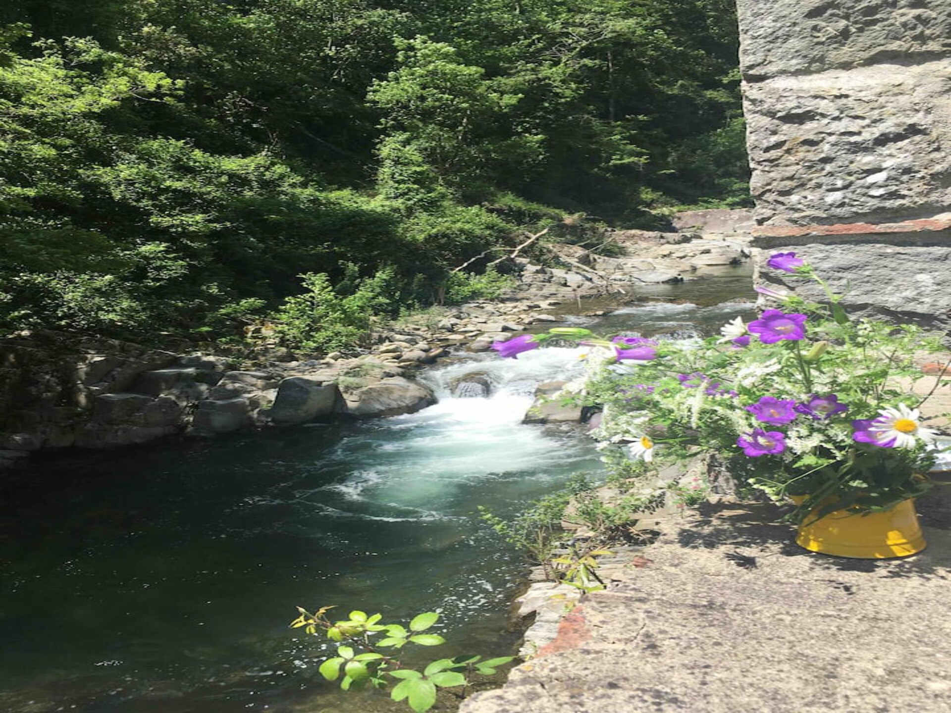 Authentieke watermolen aan de Pescia rivier voor 10 personen in Vellano - foto 30