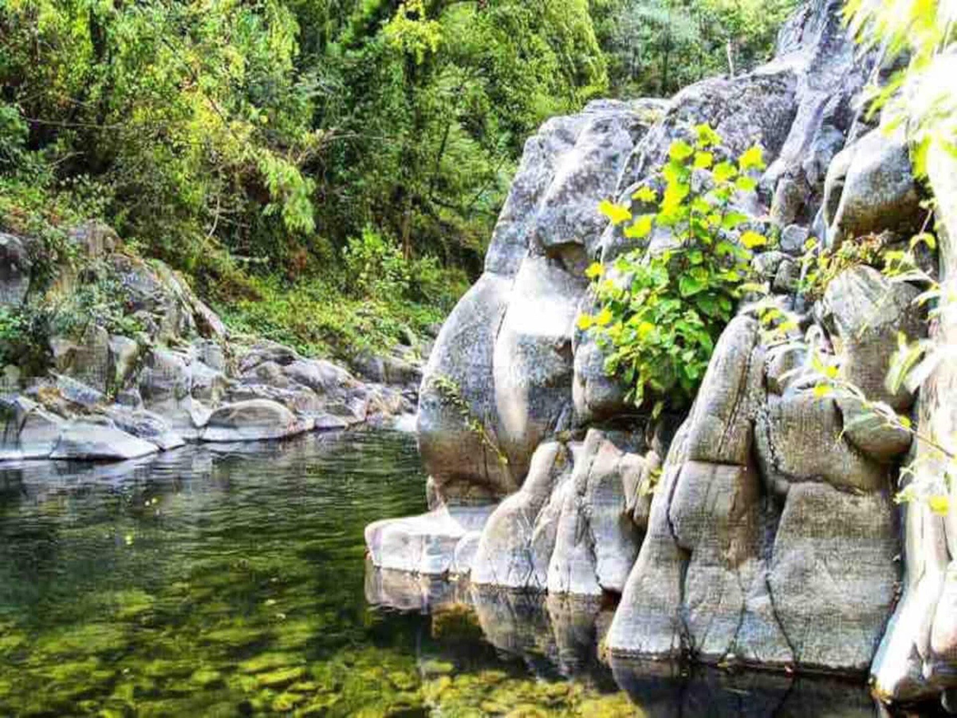 Authentieke watermolen aan de Pescia rivier voor 10 personen in Vellano - foto 31
