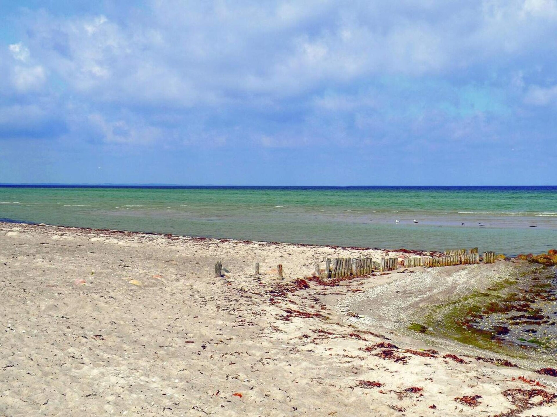 Energiezuinig vakantiehuis aan de golfbaan bij Hou, op 1,3 km van het strand - foto 14