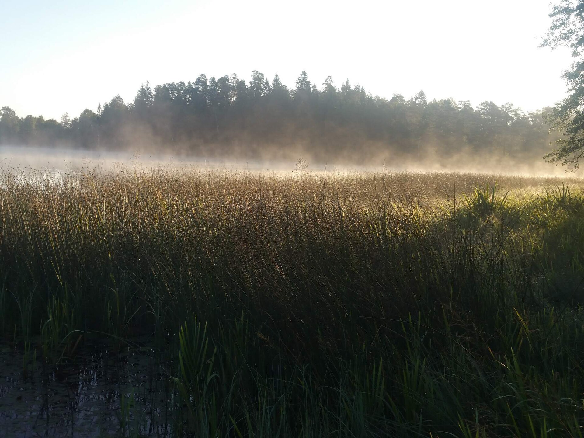 6-persoons vakantiehuis aan het meer in Åsbro - foto 13