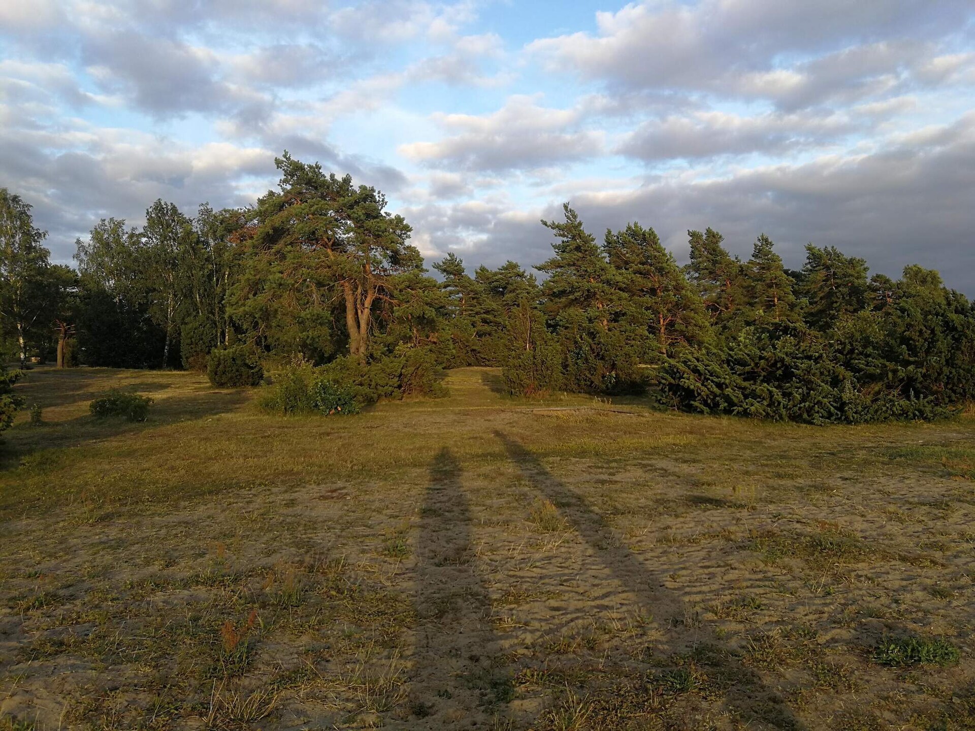 Op 550 m van zee: gezellig vakantiehuis in Mörbylånga - foto 23