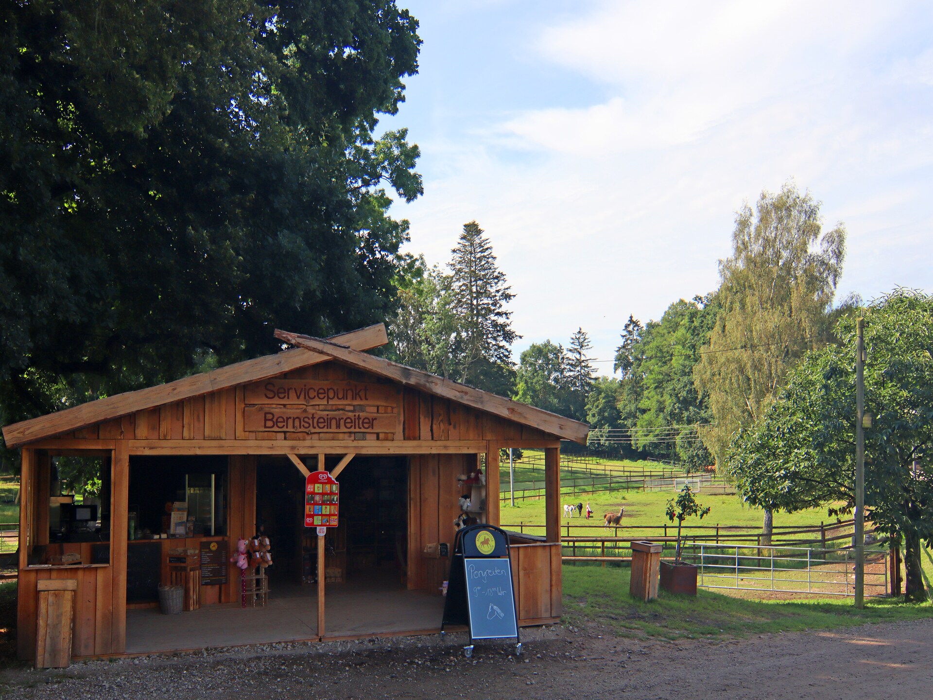 Luxe vakantiehuis met sauna bij Schwerin, vlakbij golfbaan en merengebied - foto 17