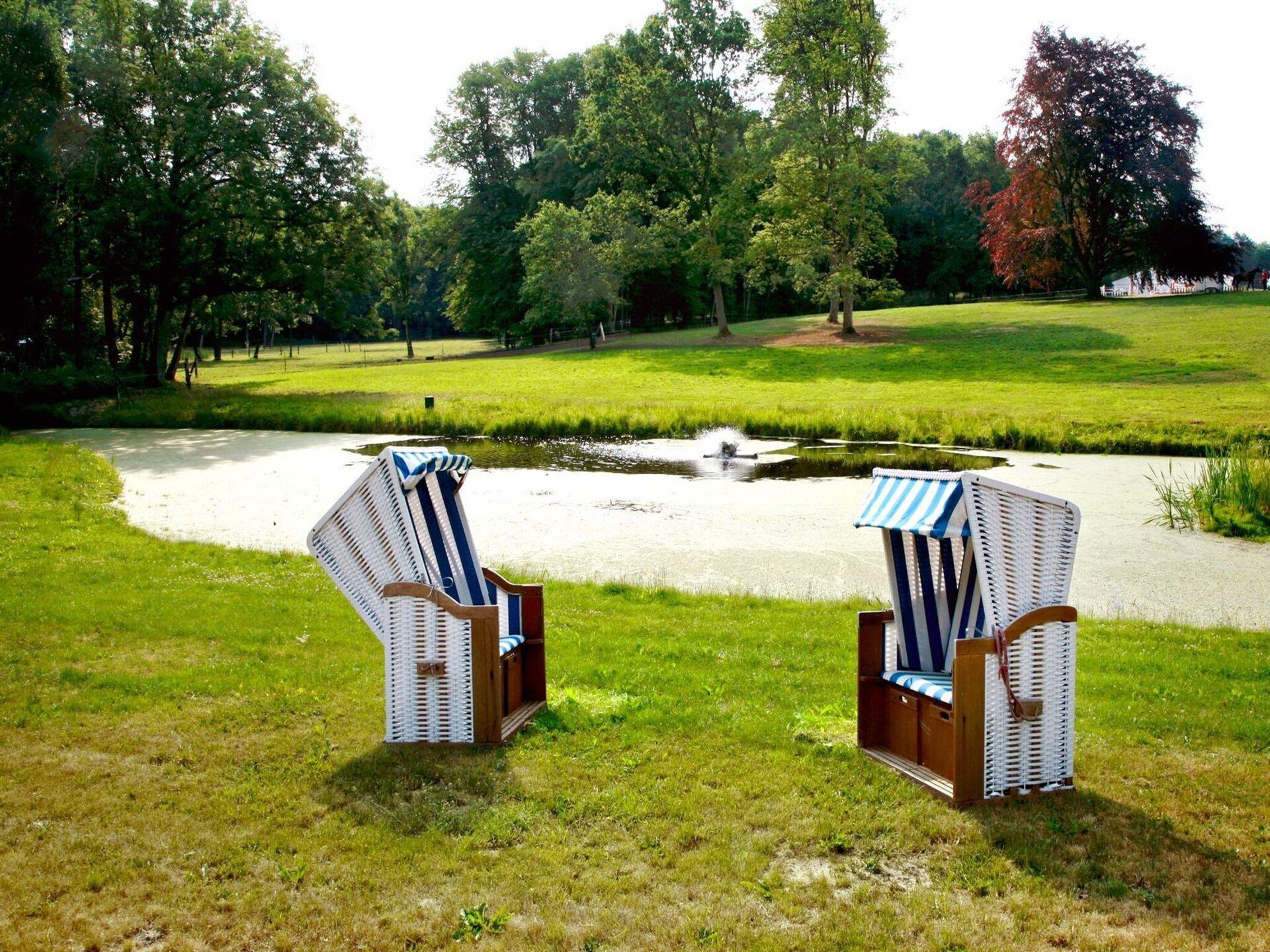 Luxe vakantiehuis met sauna bij Schwerin, vlakbij golfbaan en merengebied - foto 5