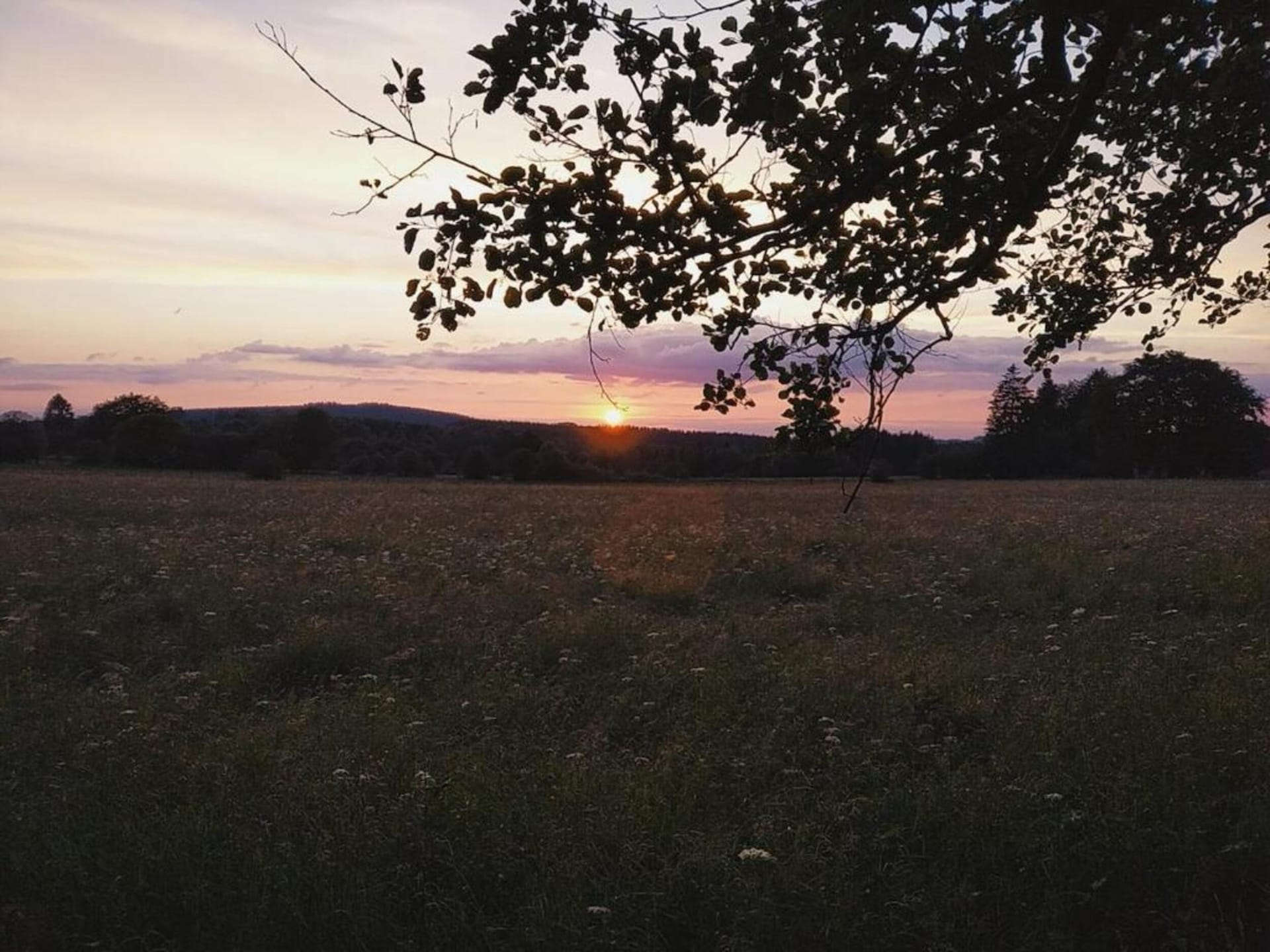Comfortabele stacaravan voor 6 personen in Dochamps - foto 39