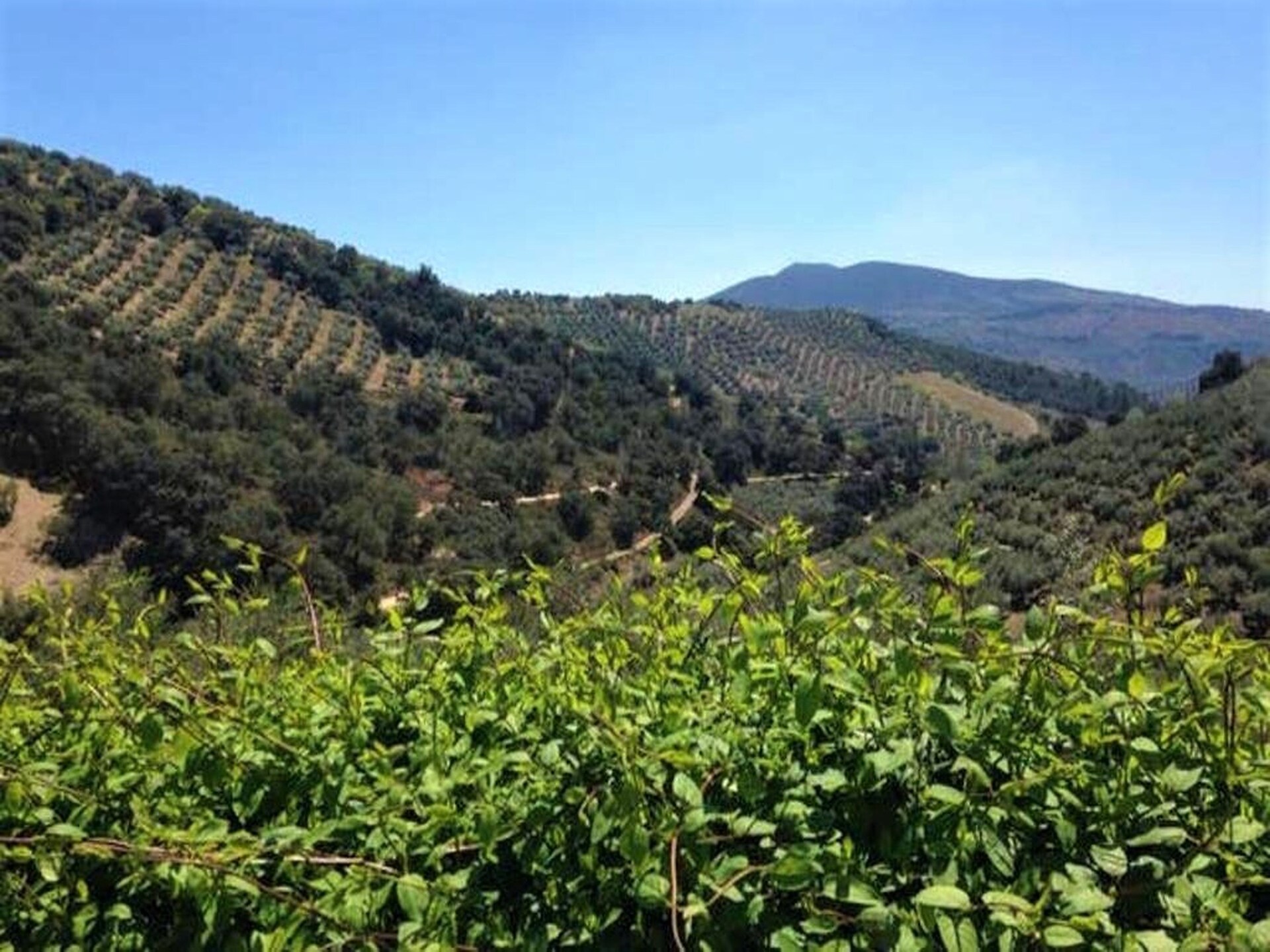 Duurzaam landhuis voor 14 personen bij Subbética natuurpark in Andalusië - foto 36