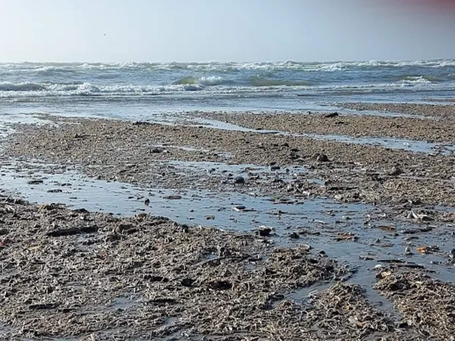 Vrijstaand vakantiehuis met sauna en whirlpool, 800m van zee in Blåvand - foto 20