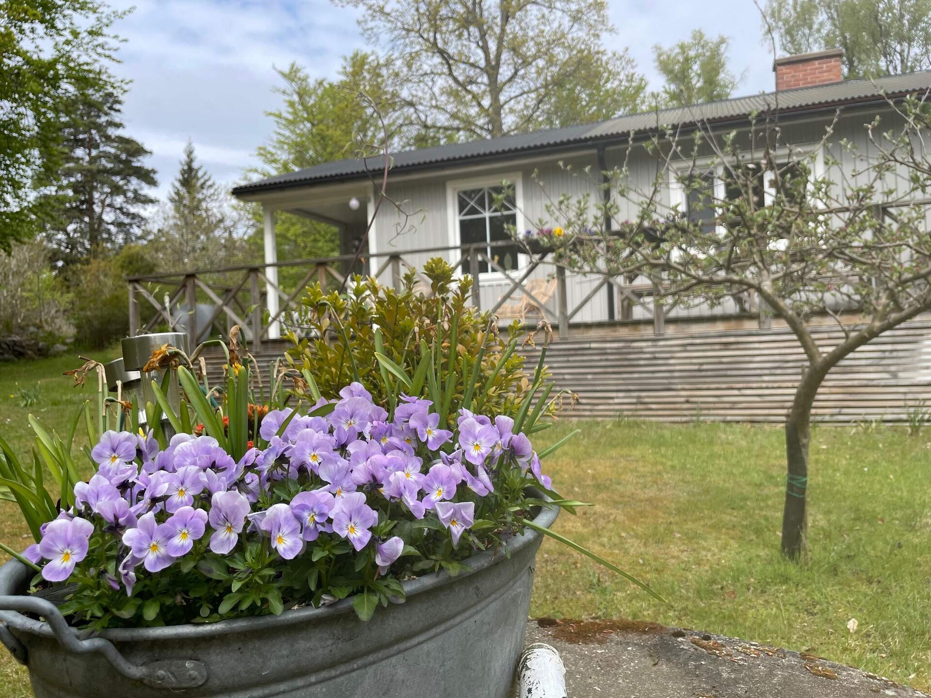 Vrijstaand vakantiehuis aan de golfbaan bij Ronneby, 800m van zee - foto 5