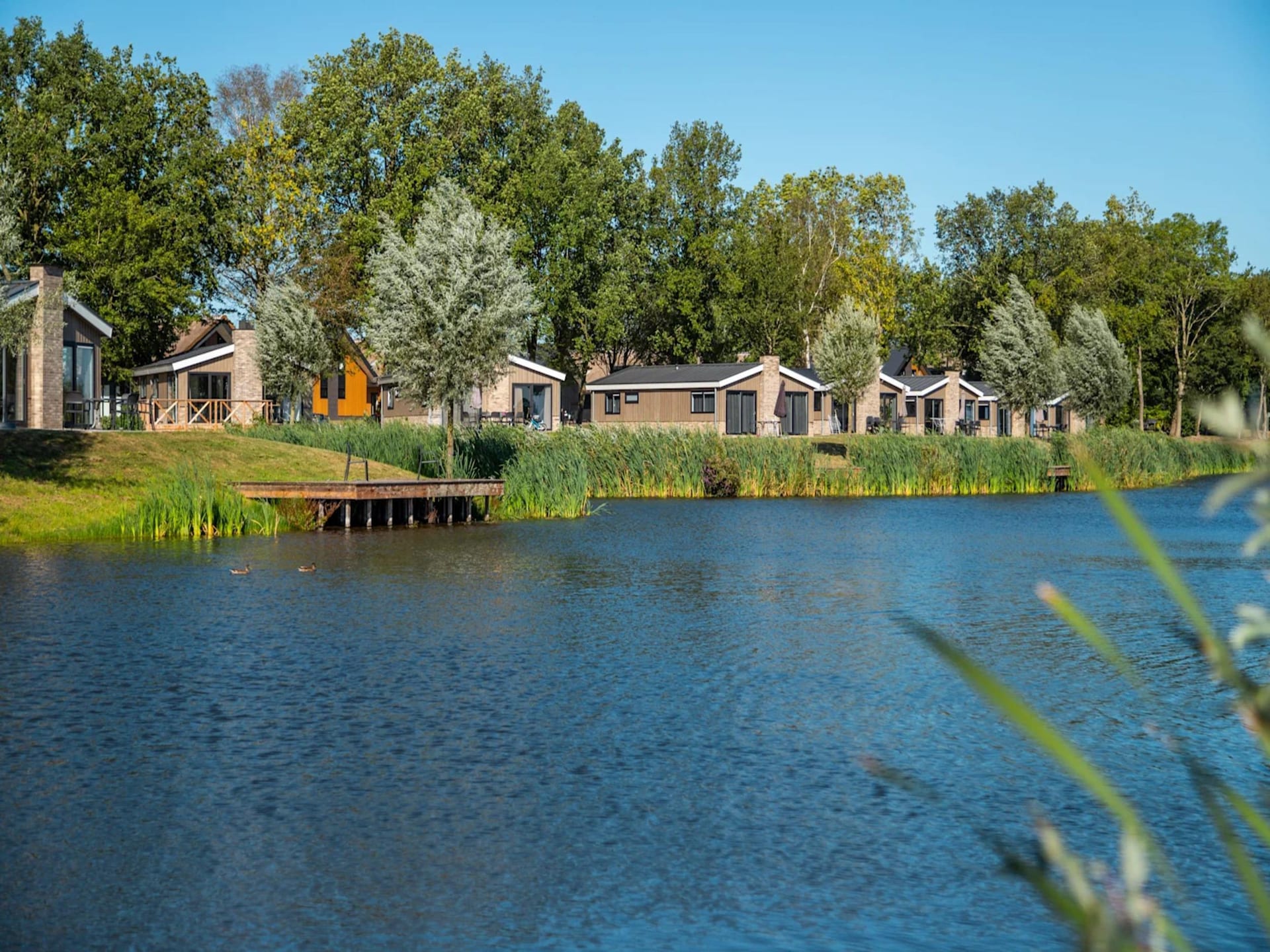 6-persoons chalet direct aan het meer in Kampen - foto 25