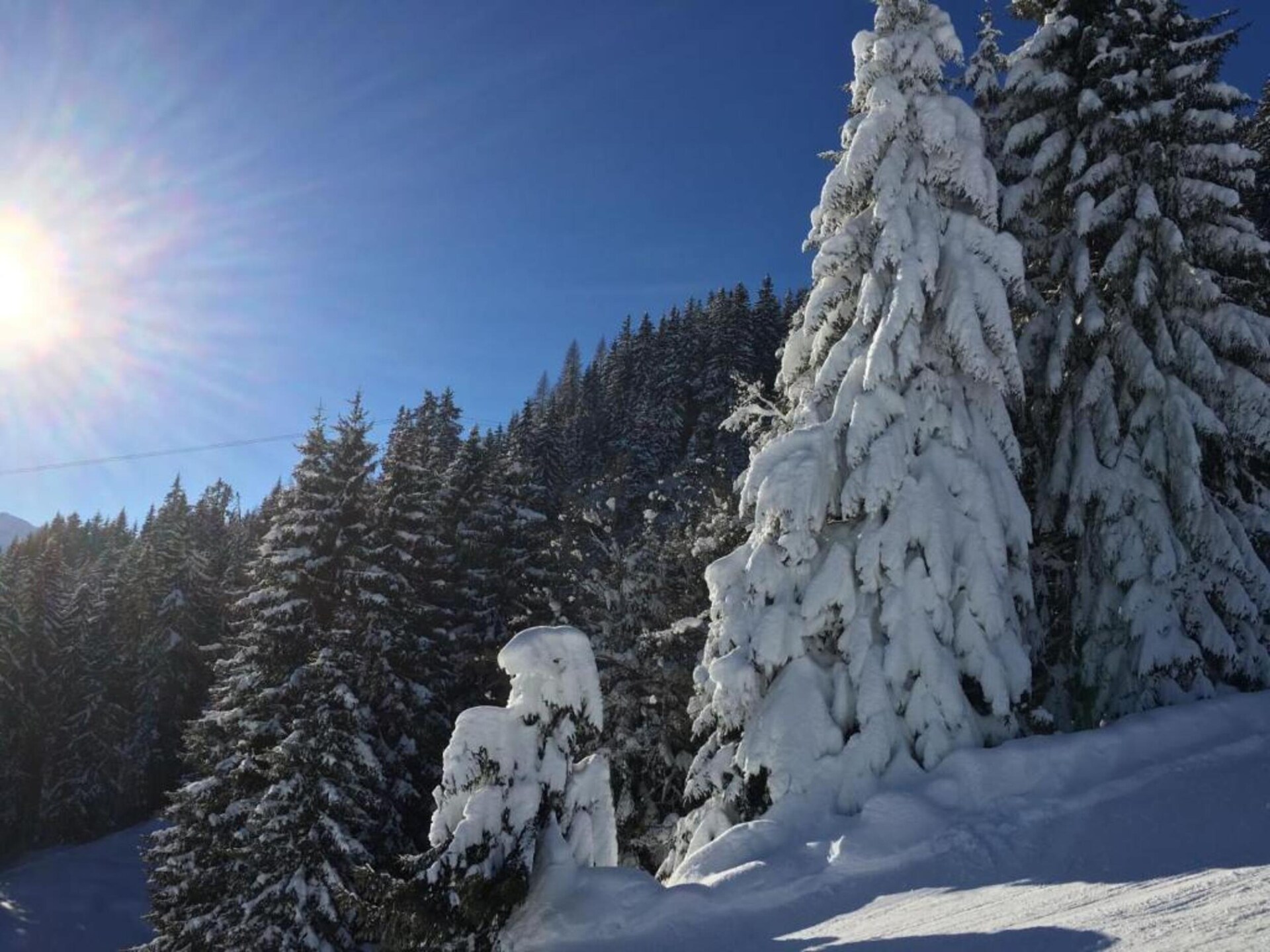 Appartement Grasberge: 6-persoons bosverblijf vlakbij de piste in Mittersill - foto 26