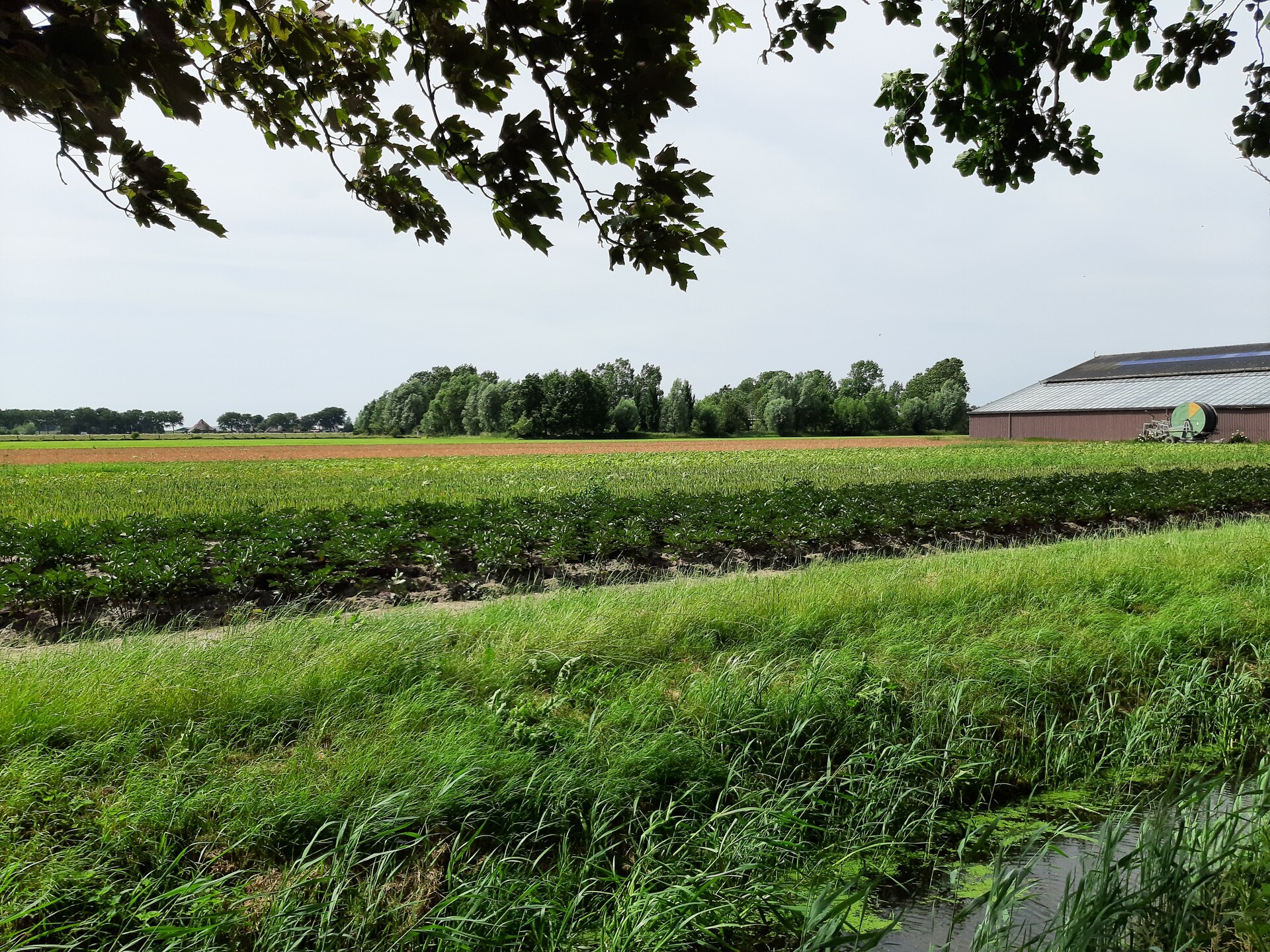 Stijlvol vakantiehuis DJEZ in Tuitjenhorn: natuur, cultuur en kust dichtbij - foto 22
