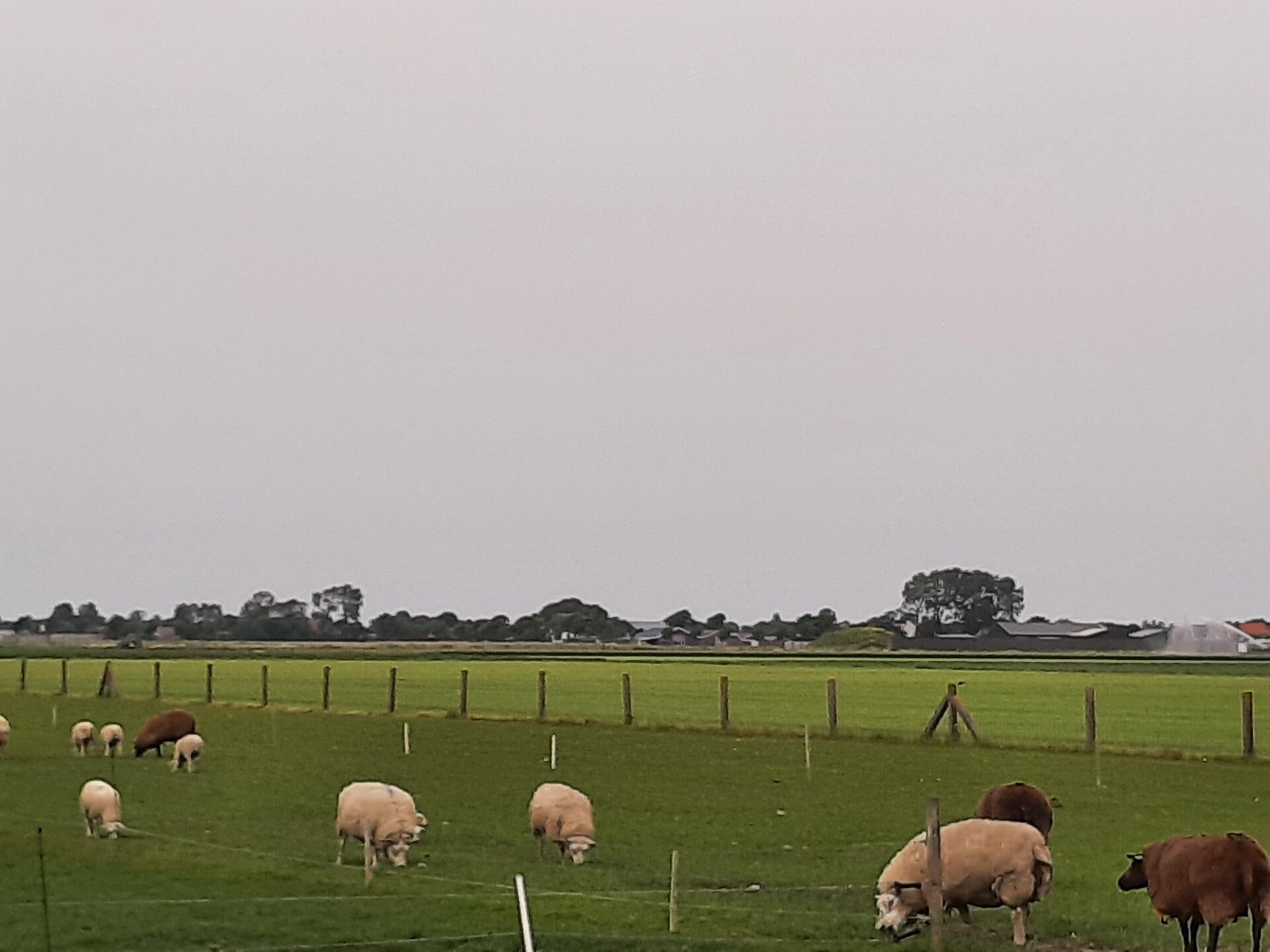 Stijlvol vakantiehuis DJEZ in Tuitjenhorn: natuur, cultuur en kust dichtbij - foto 25