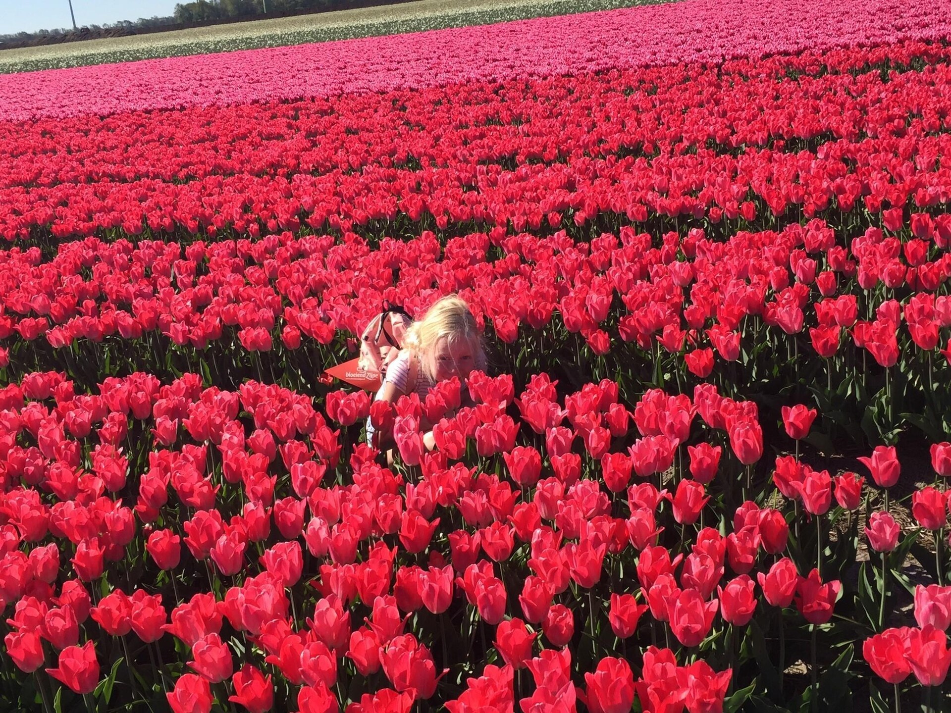 Stijlvol vakantiehuis DJEZ in Tuitjenhorn: natuur, cultuur en kust dichtbij - foto 23
