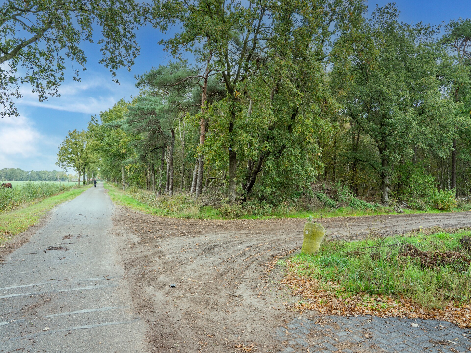 Vakantiehuis in Goirle: rust, natuur en comfort voor 6 personen - foto 34