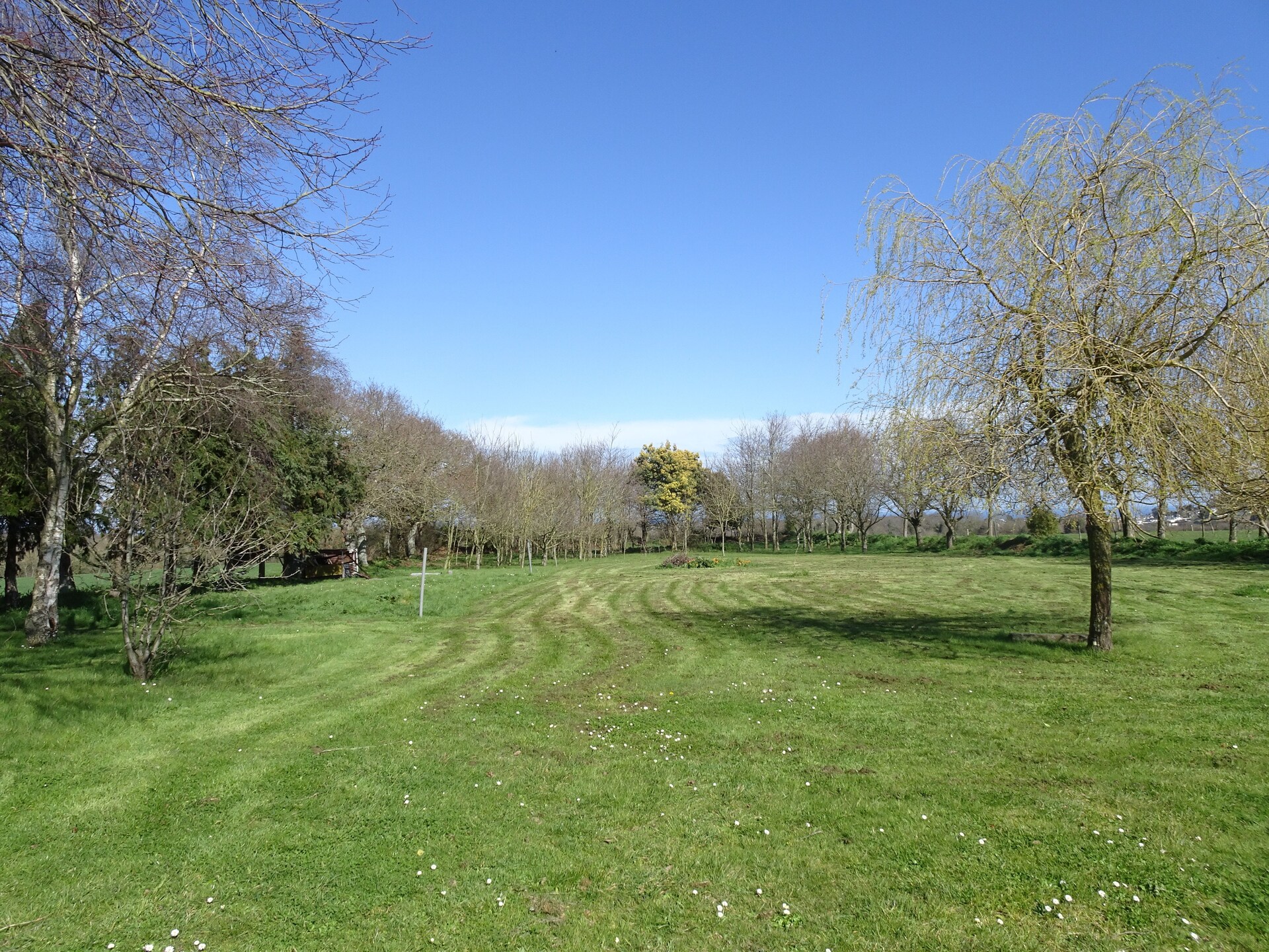 Ecologisch vakantiehuis met zeezicht en wintertuin in Etables-sur-Mer - foto 19