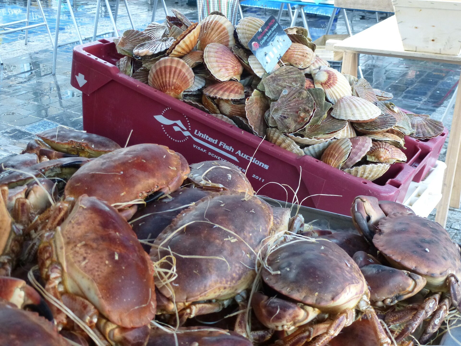 Ecologisch vakantiehuis met zeezicht en wintertuin in Etables-sur-Mer - foto 26