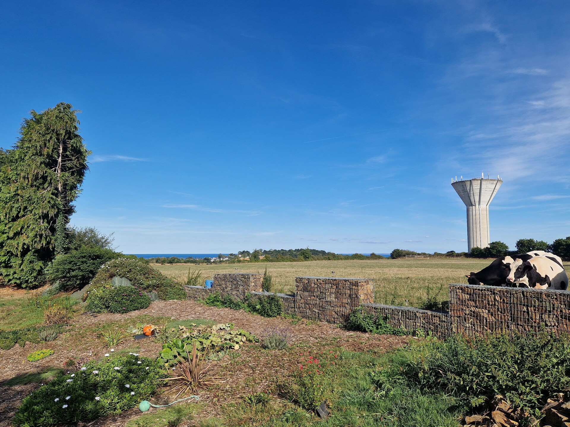 Ecologisch vakantiehuis met zeezicht en wintertuin in Etables-sur-Mer - foto 18