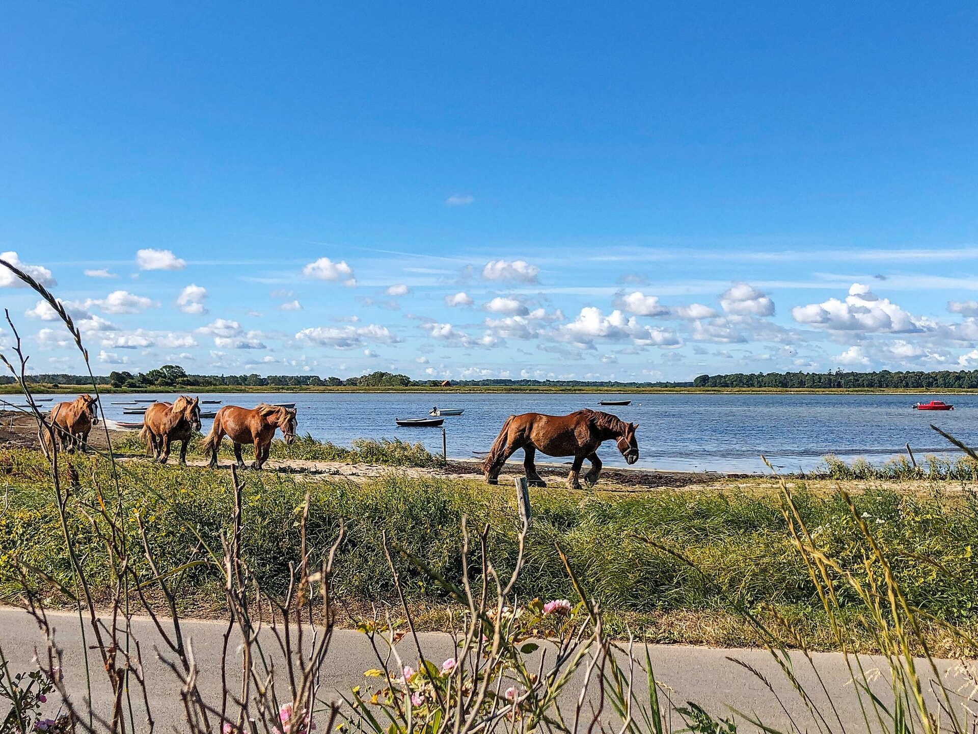 Knus vakantiehuis op 20 meter van zee bij Bogense - foto 6