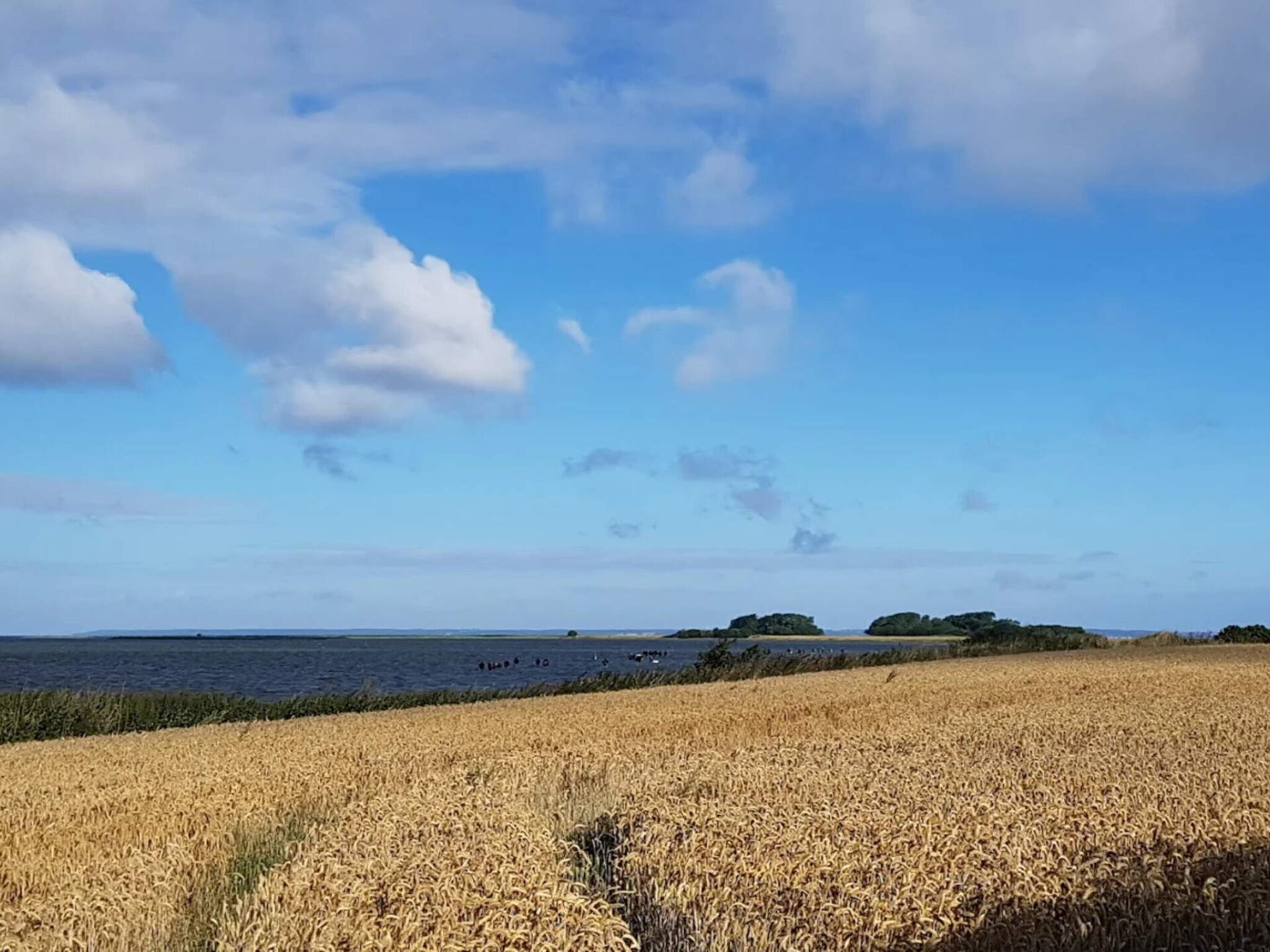 Knus vakantiehuis op 20 meter van zee bij Bogense - foto 9