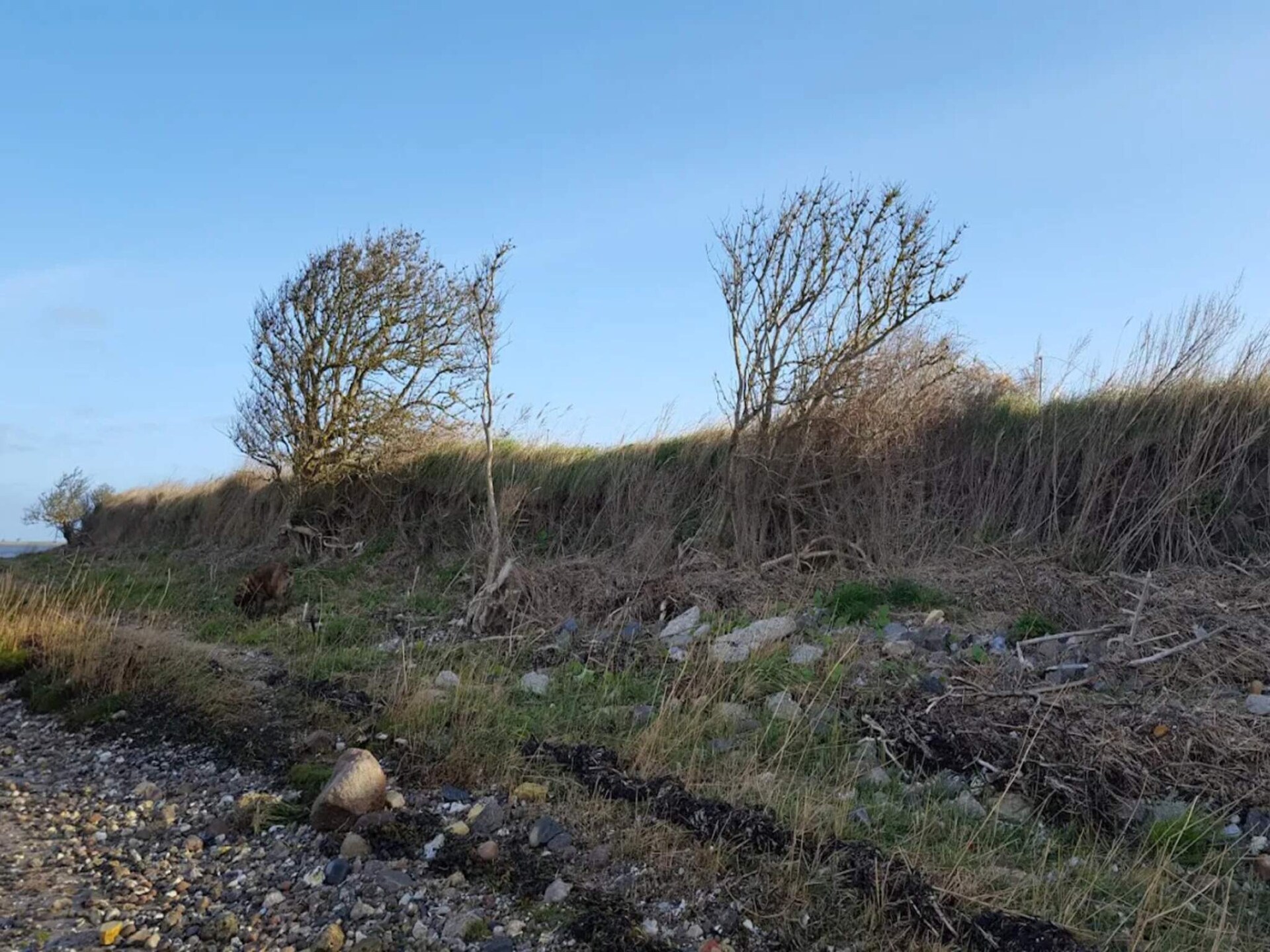 Knus vakantiehuis op 20 meter van zee bij Bogense - foto 2