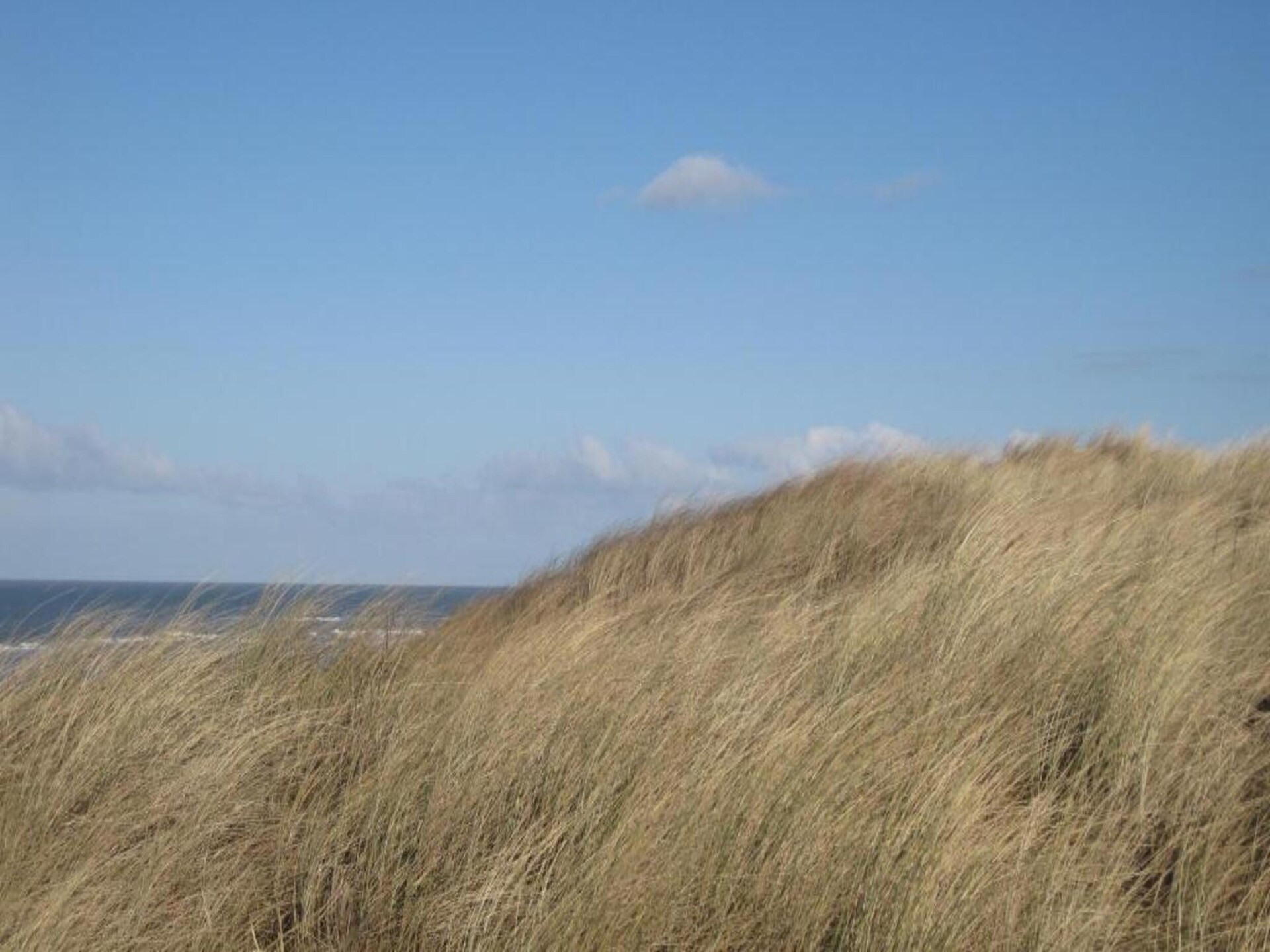Knus chalet in Oostkapelle met tuin, dicht bij strand en natuur - foto 29