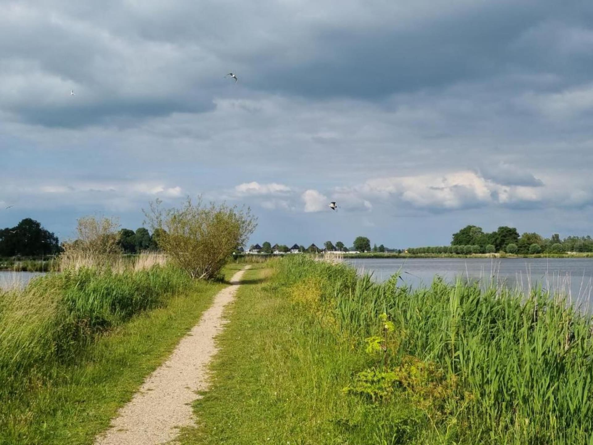 Modern appartement aan het Sneekermeer met oostelijk balkon - foto 33