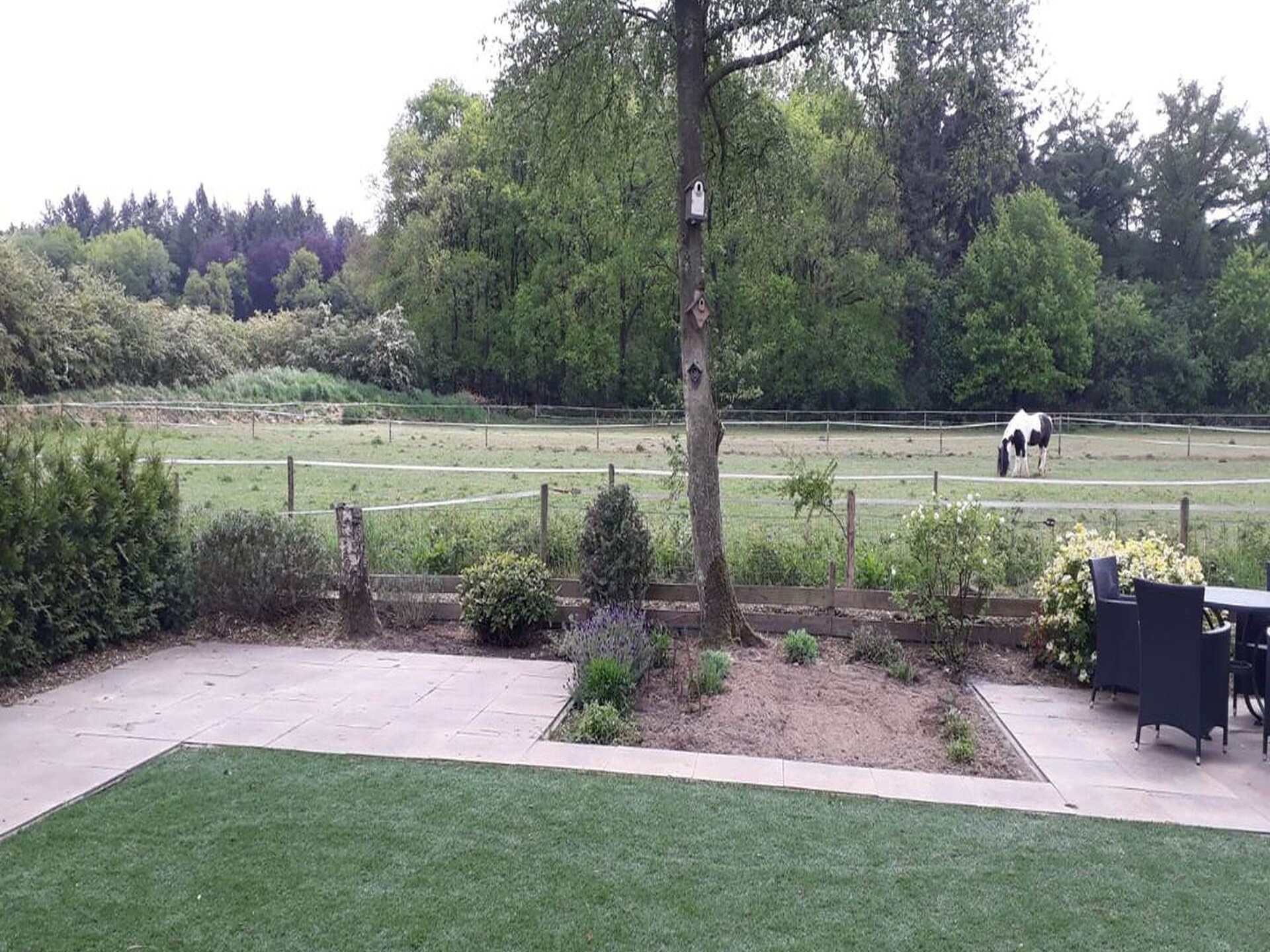 Luxe chalet Koperwiek in bosrijk Garderen met airconditioning en EV-laadpaal - foto 20
