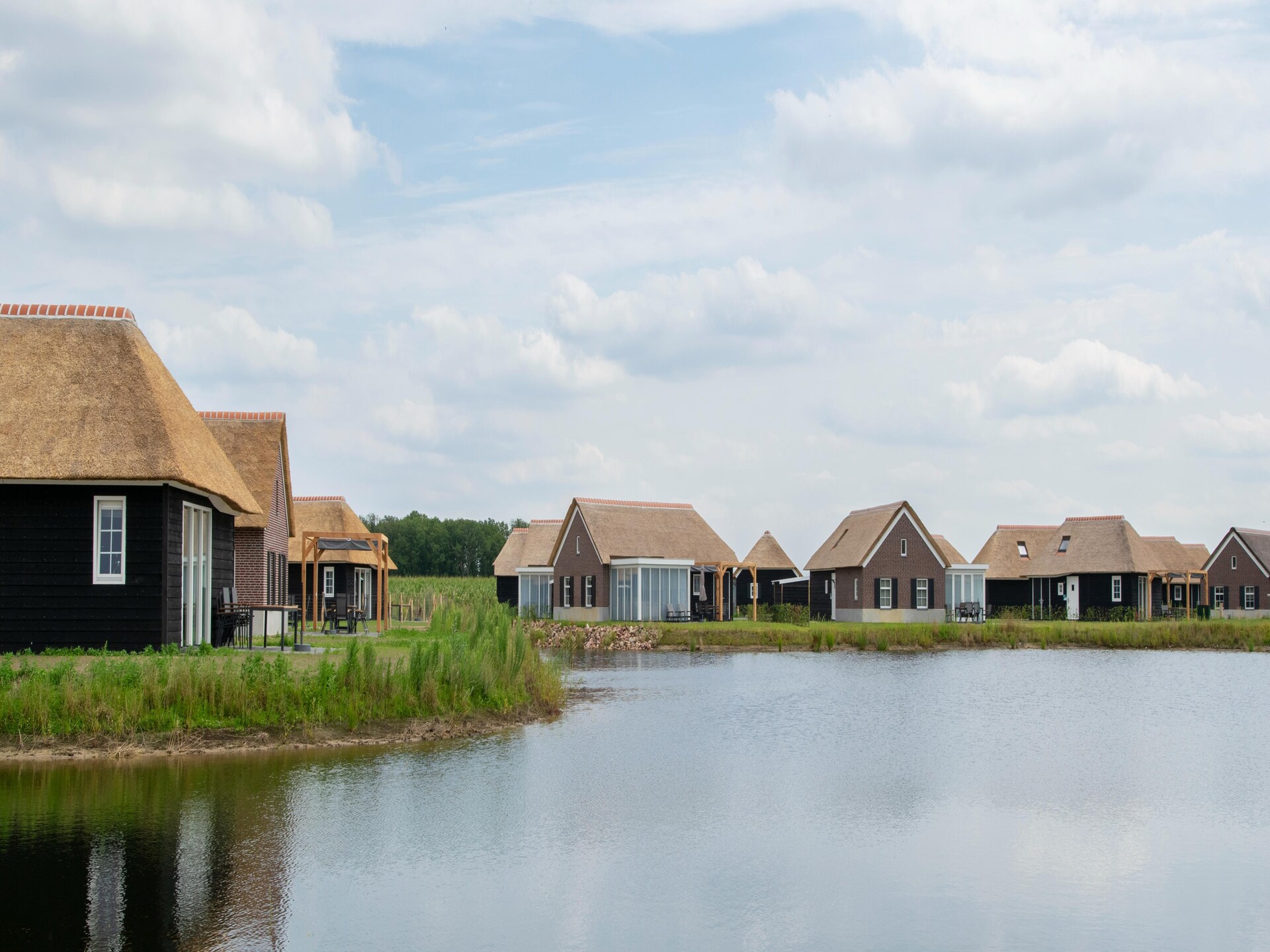 Vrijstaand chalet op hondenlief vakantiepark bij Mierlo, 12 km van Eindhoven - foto 5