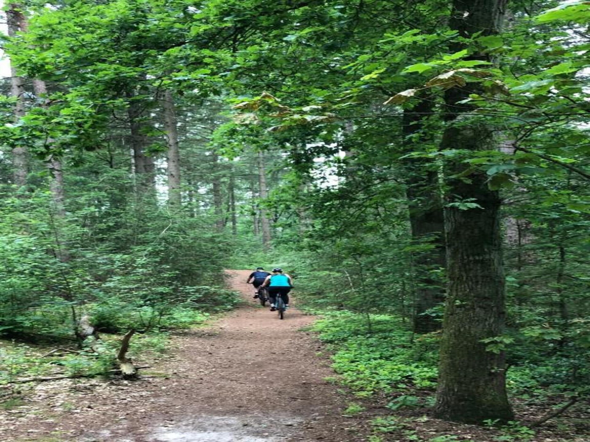 Vrijstaand chalet op hondenlief vakantiepark bij Mierlo, 12 km van Eindhoven - foto 31