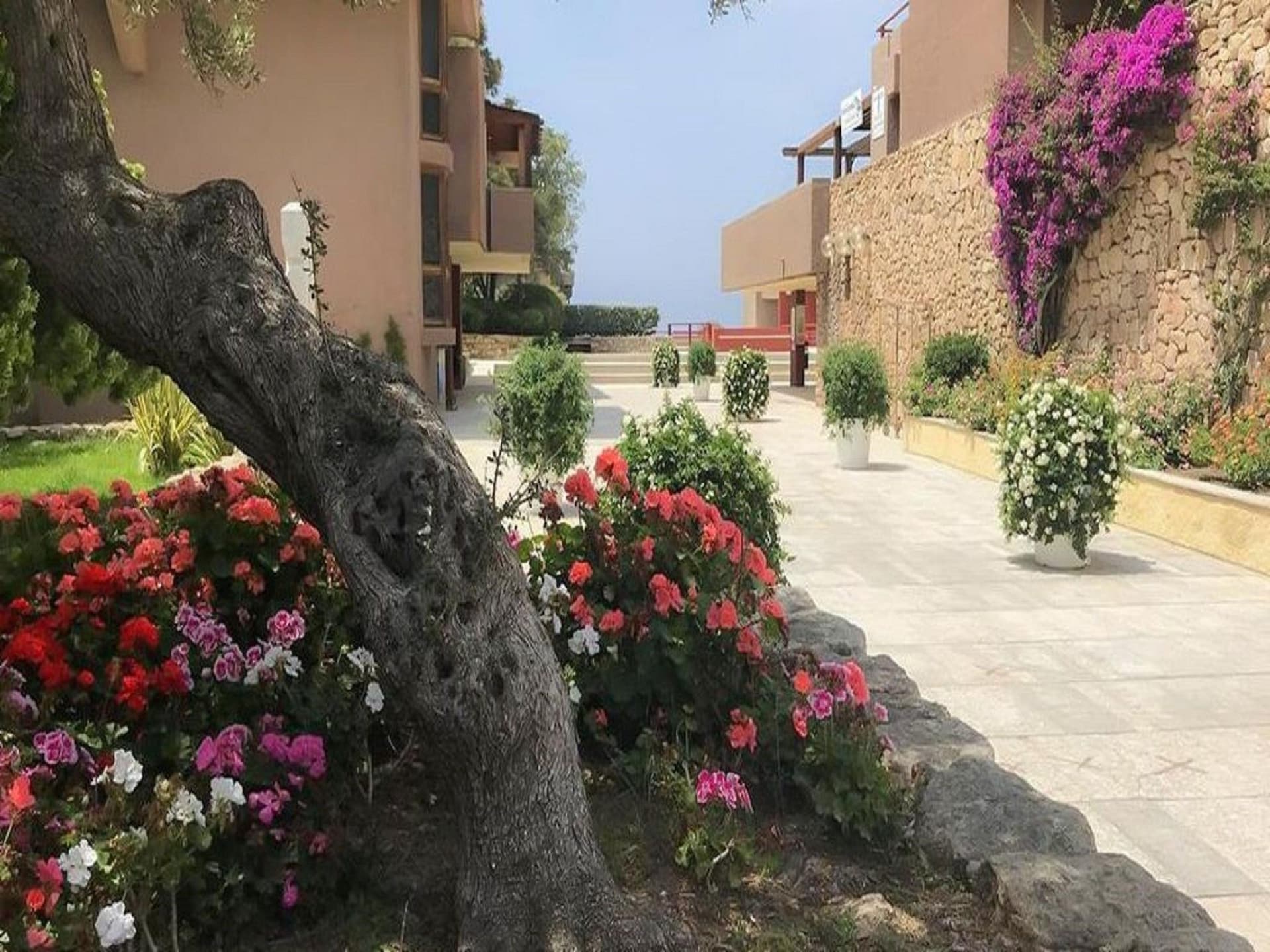 4-persoons appartement in Olbia nabij de zee - foto 16