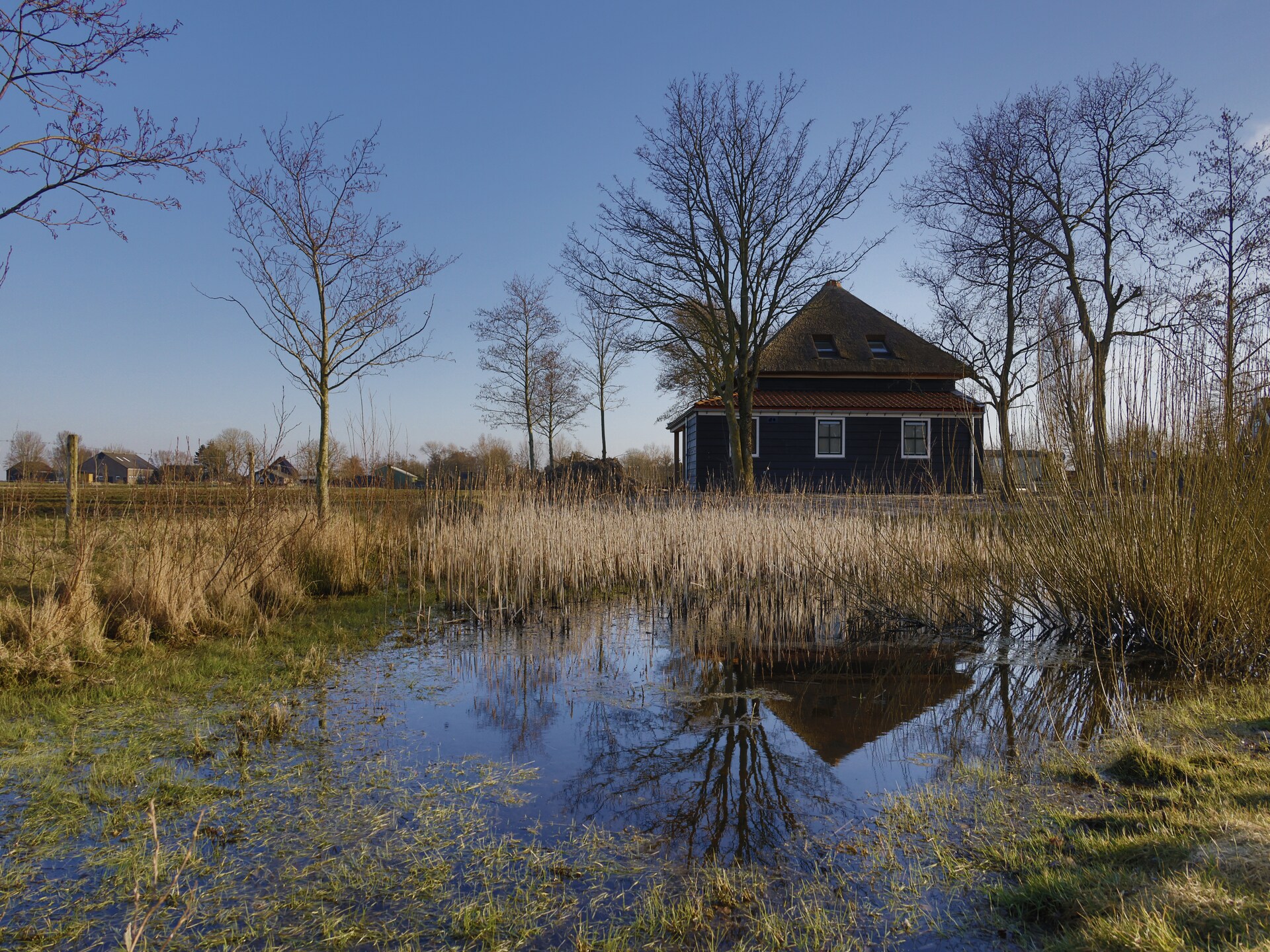 Wiringher Villa 23: Luxe strandvilla in Wieringerstijl aan Waddenzee - foto 6