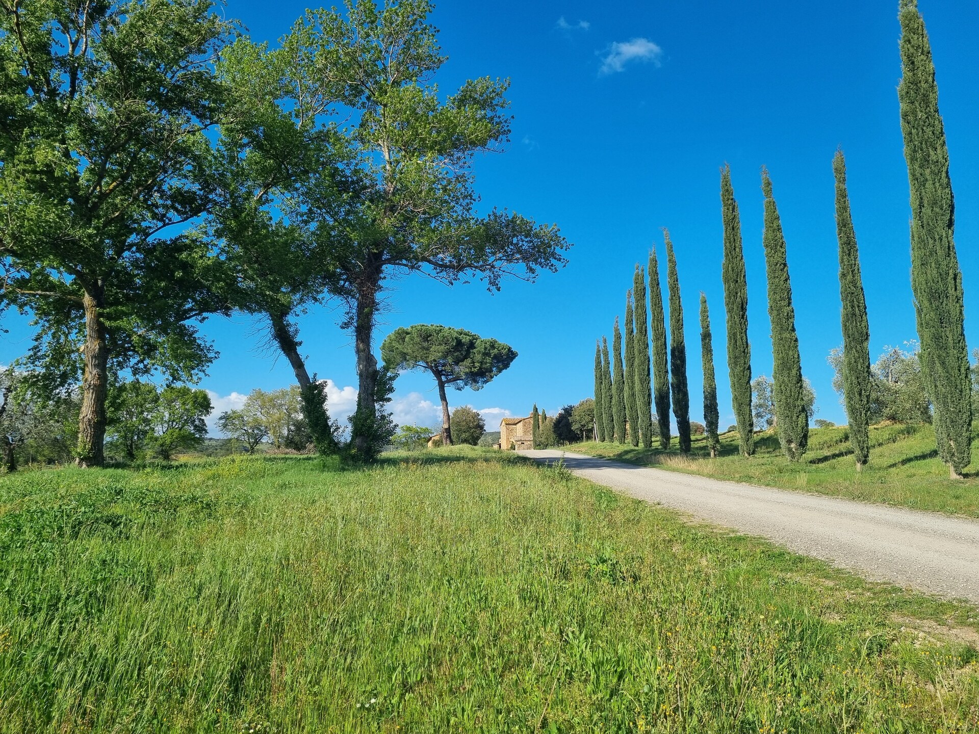 Rustiek vakantiehuis voor 10 personen in Montalcino - foto 32
