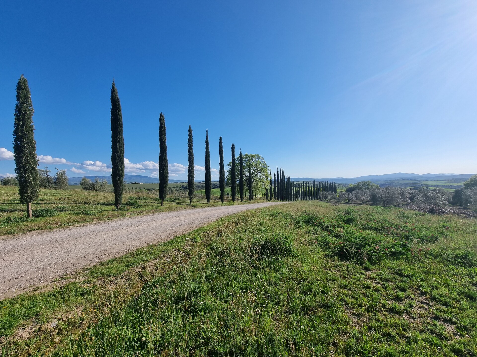 Rustiek vakantiehuis voor 10 personen in Montalcino - foto 33