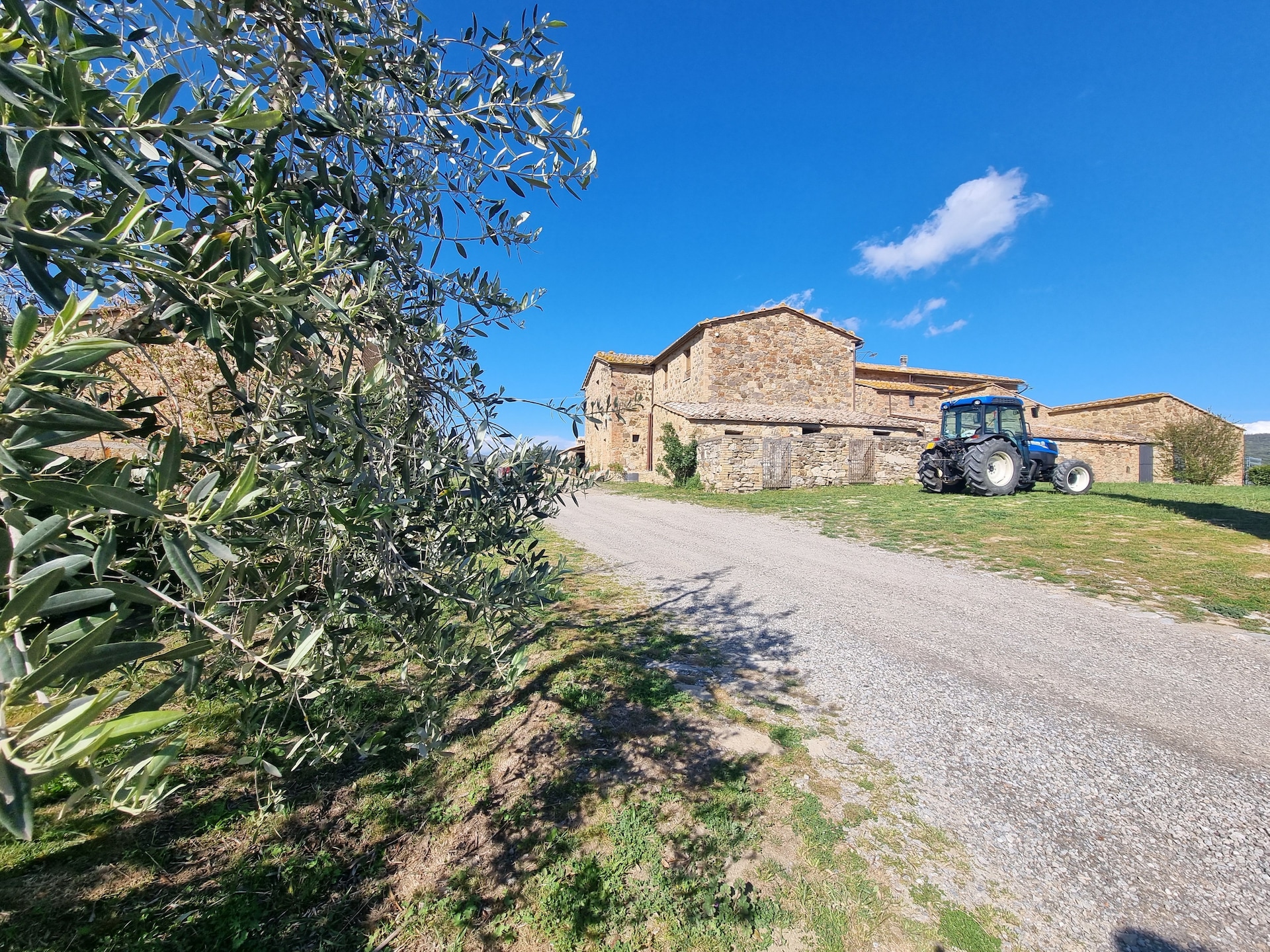 Rustiek vakantiehuis voor 10 personen in Montalcino - foto 7