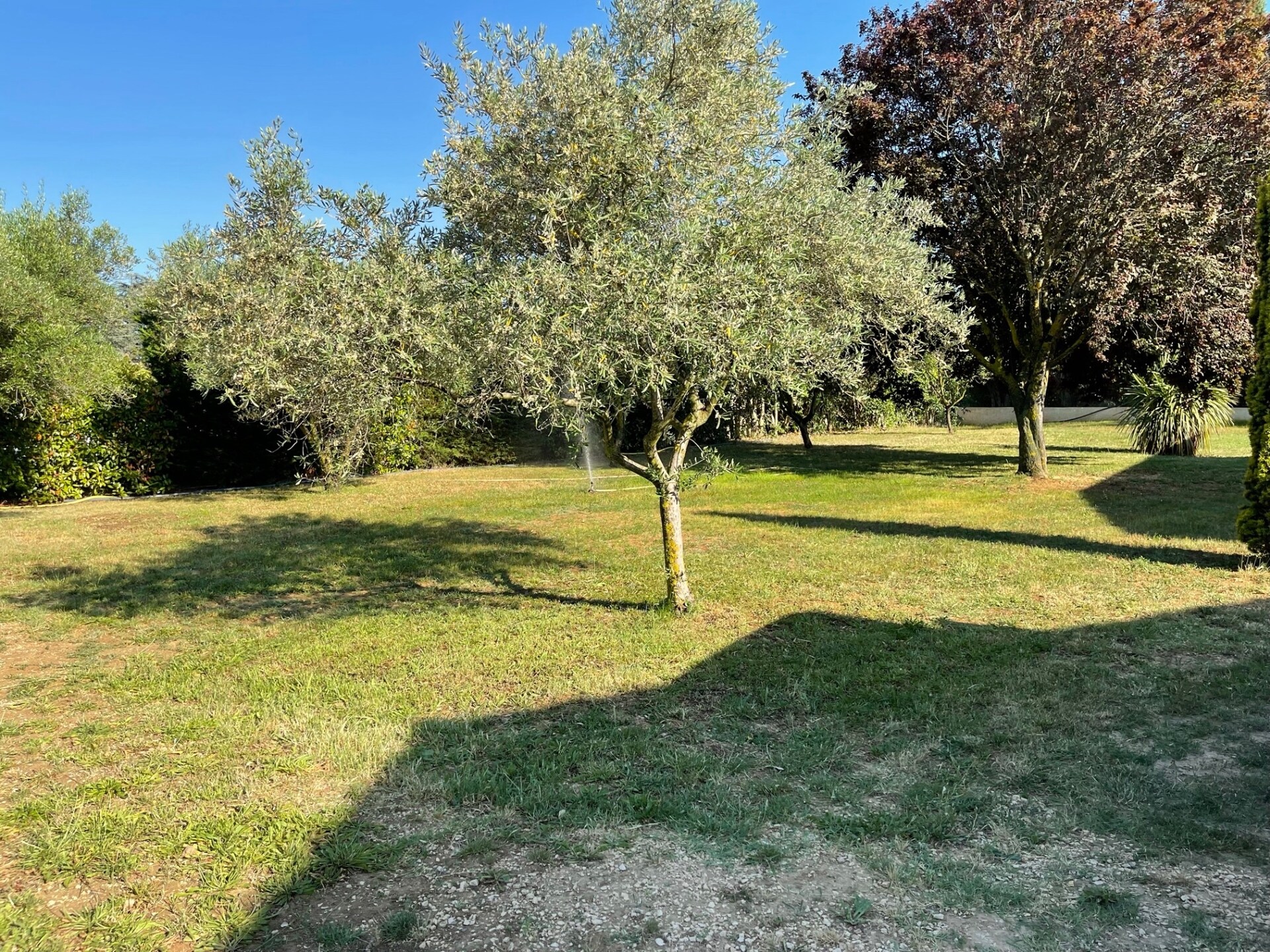 Villa met privézwembad en tuin aan de golfbaan in Saint-Laurent-la-Vernède - foto 30